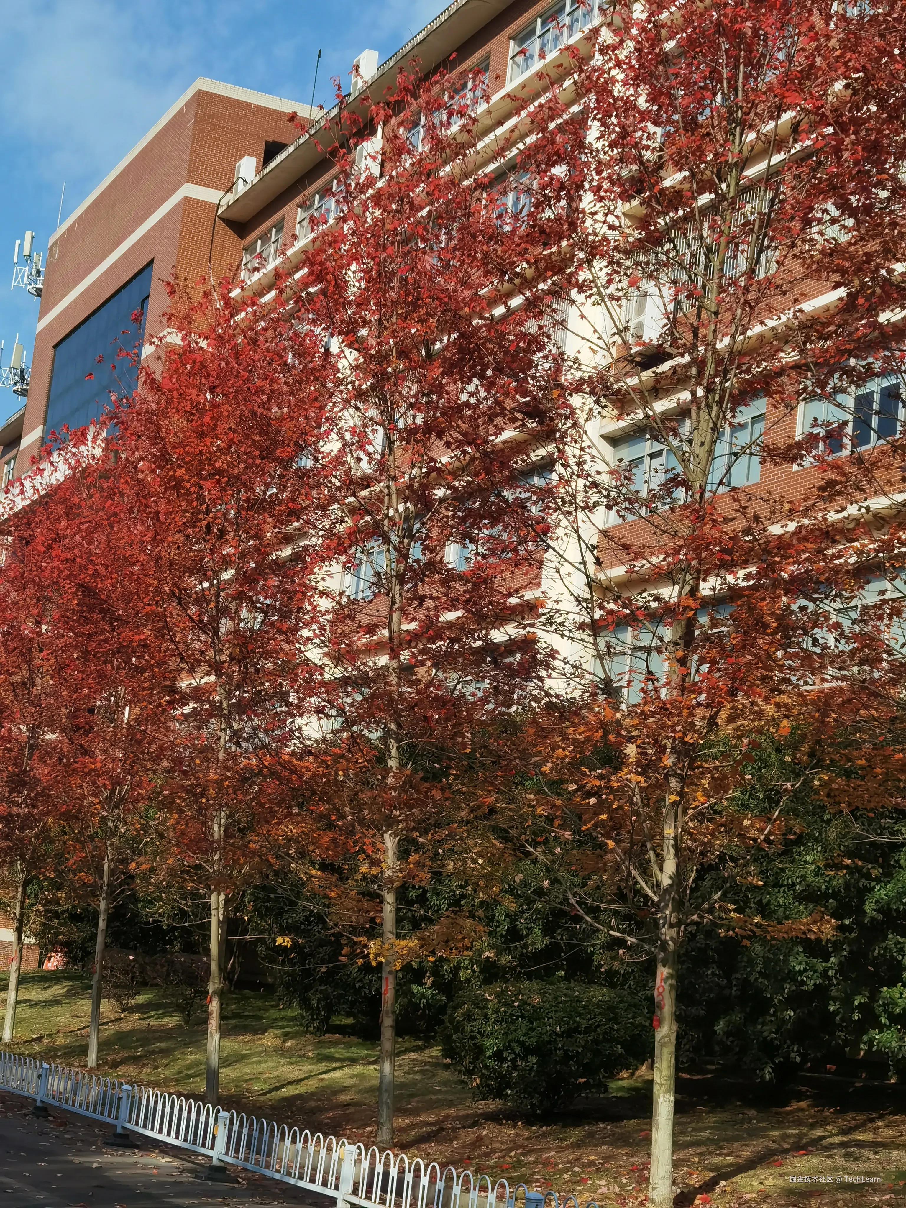 TechLearn于2024-11-30 09:48发布的图片