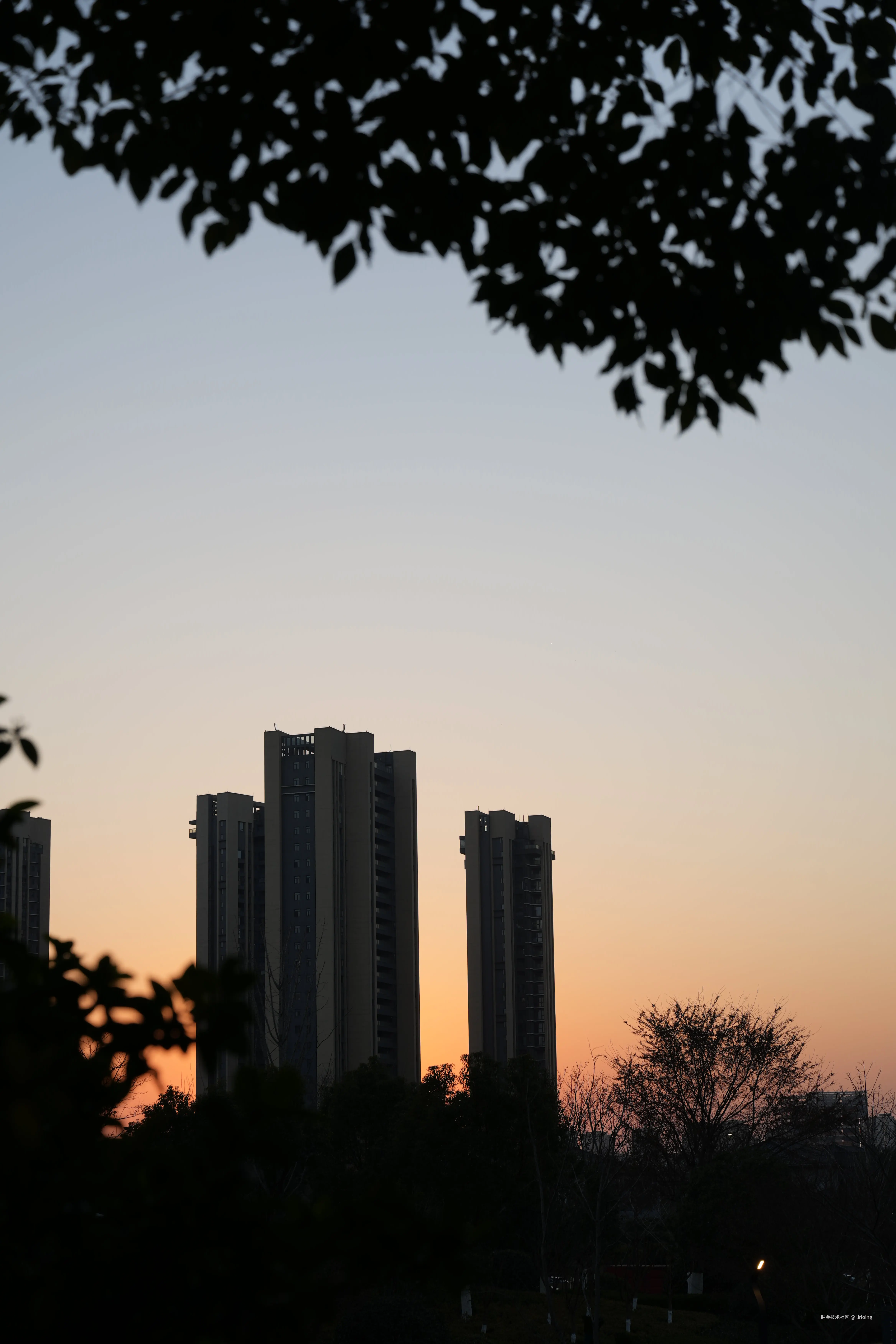 lirioing于2026-01-14 16:47发布的图片