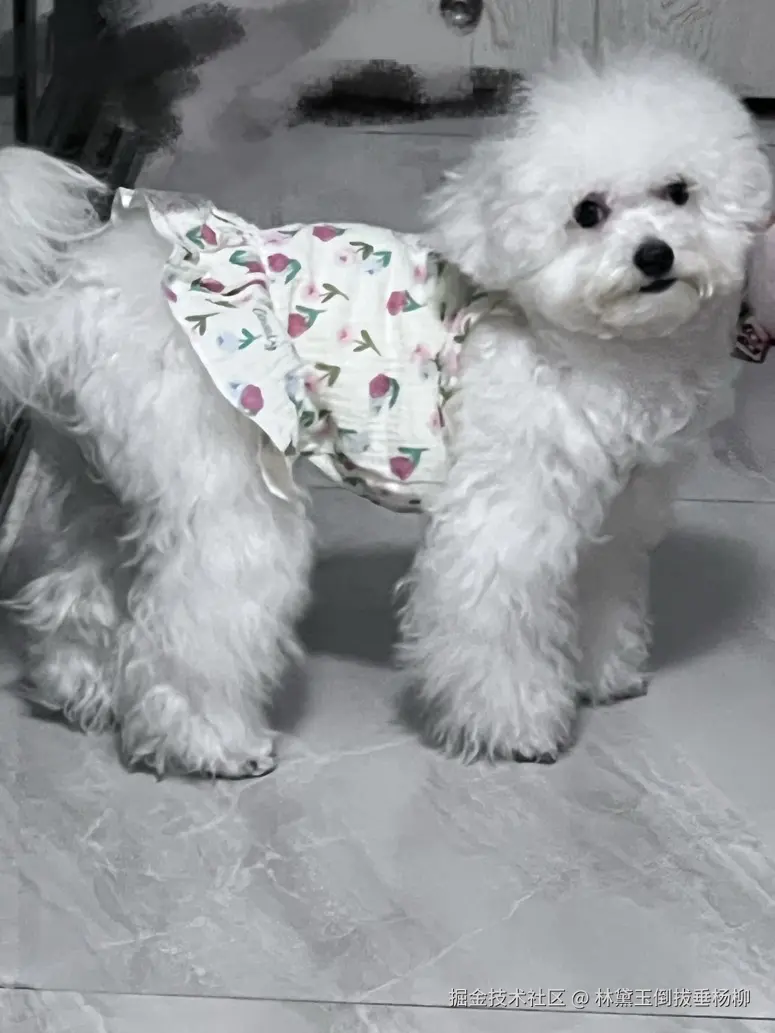 林黛玉倒拔垂杨柳于2024-09-18 17:23发布的图片