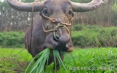 人形螺丝钉于2025-06-03 08:53发布的图片