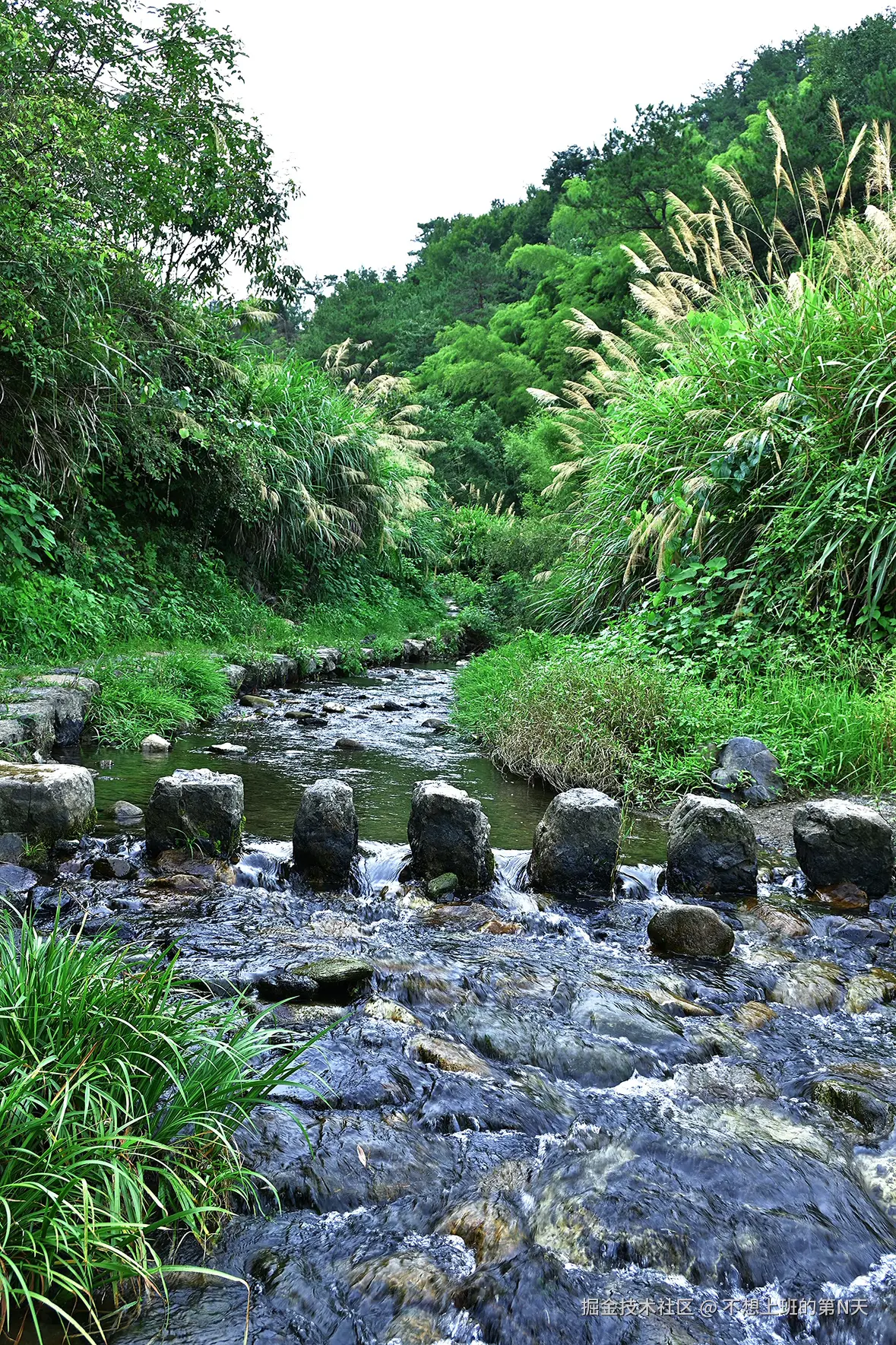 不想上班的第N天于2025-08-11 11:12发布的图片