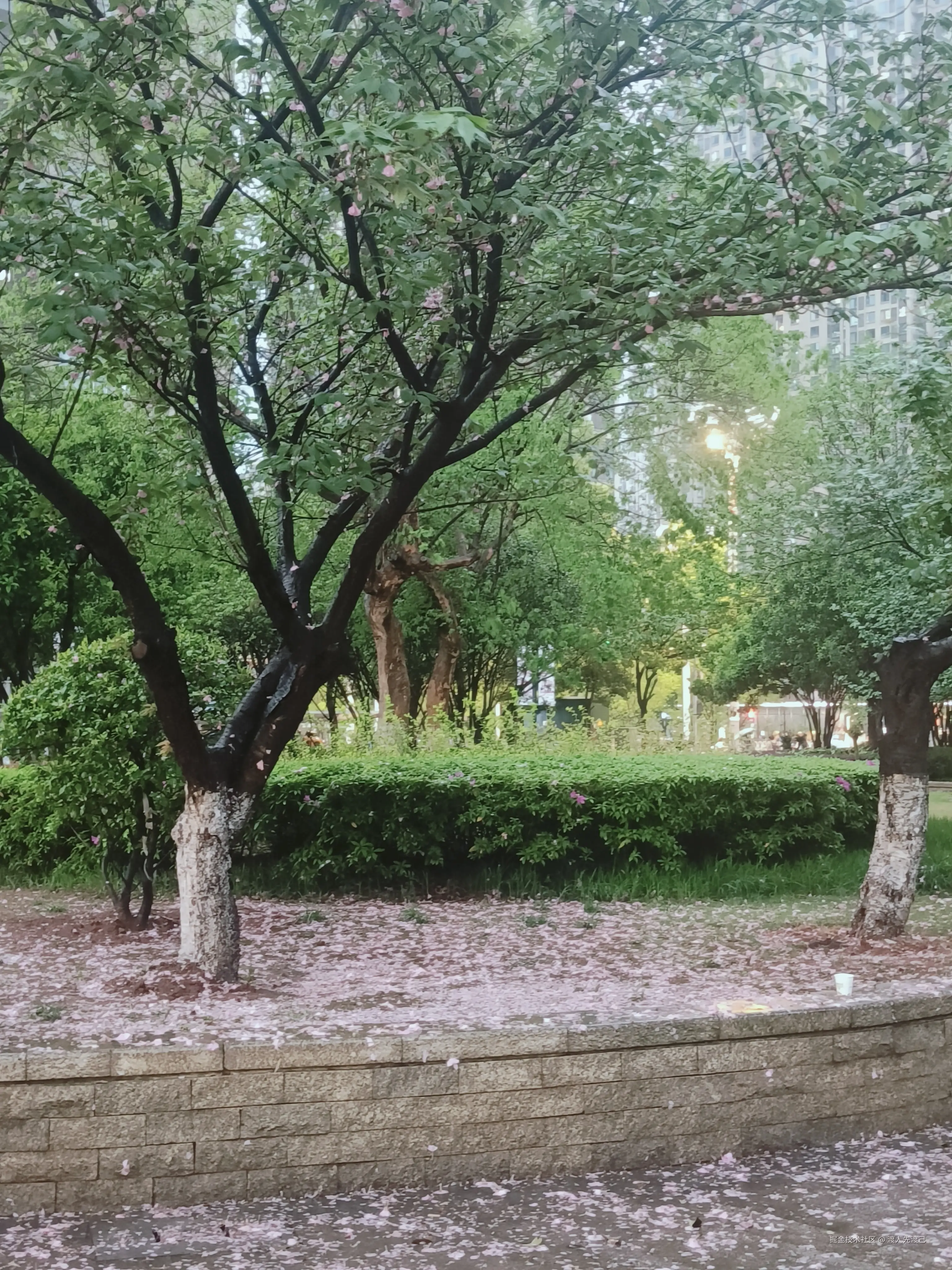 渡人先渡己于2025-04-17 11:19发布的图片