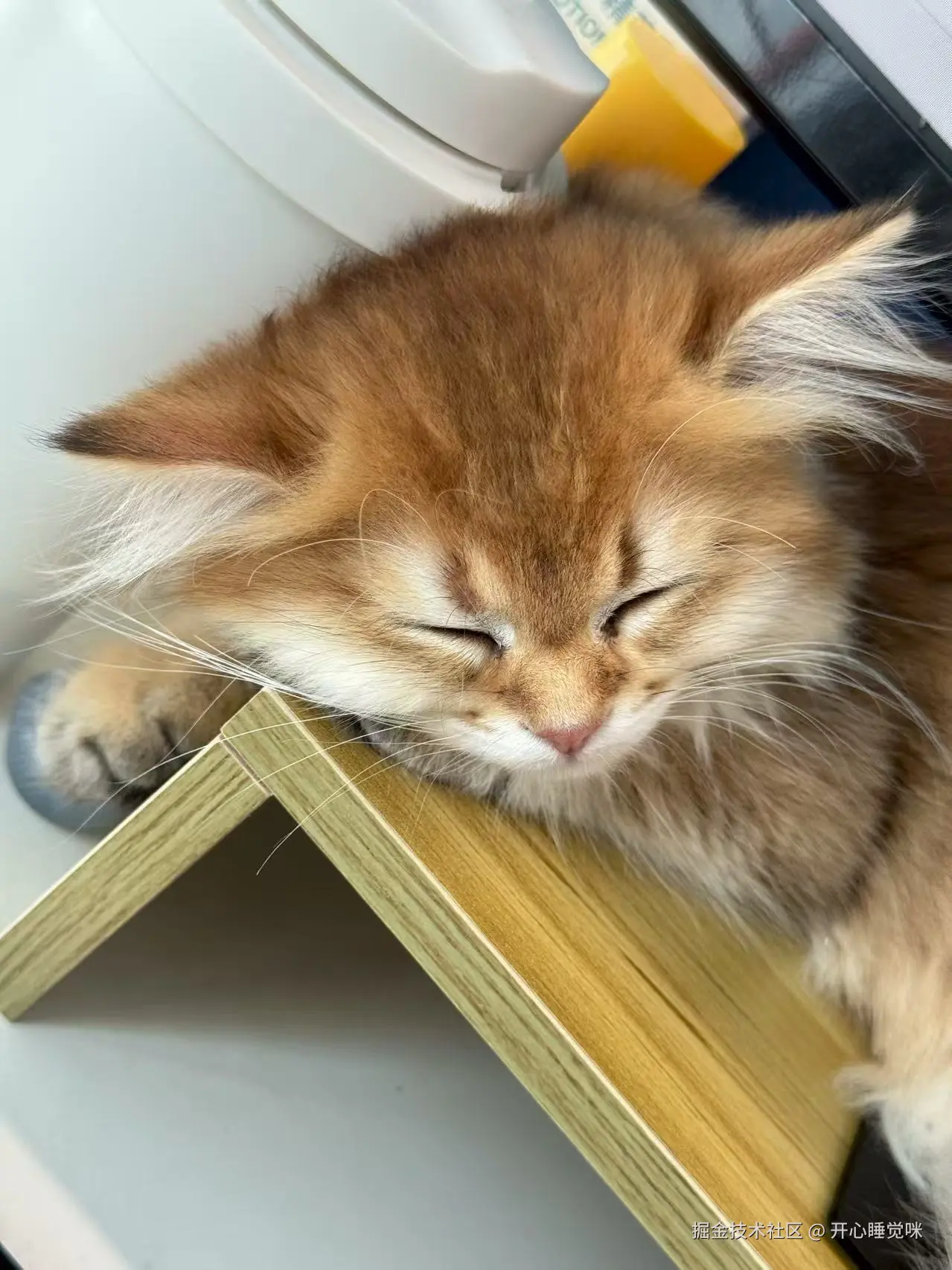 开心睡觉咪于2025-08-12 13:26发布的图片