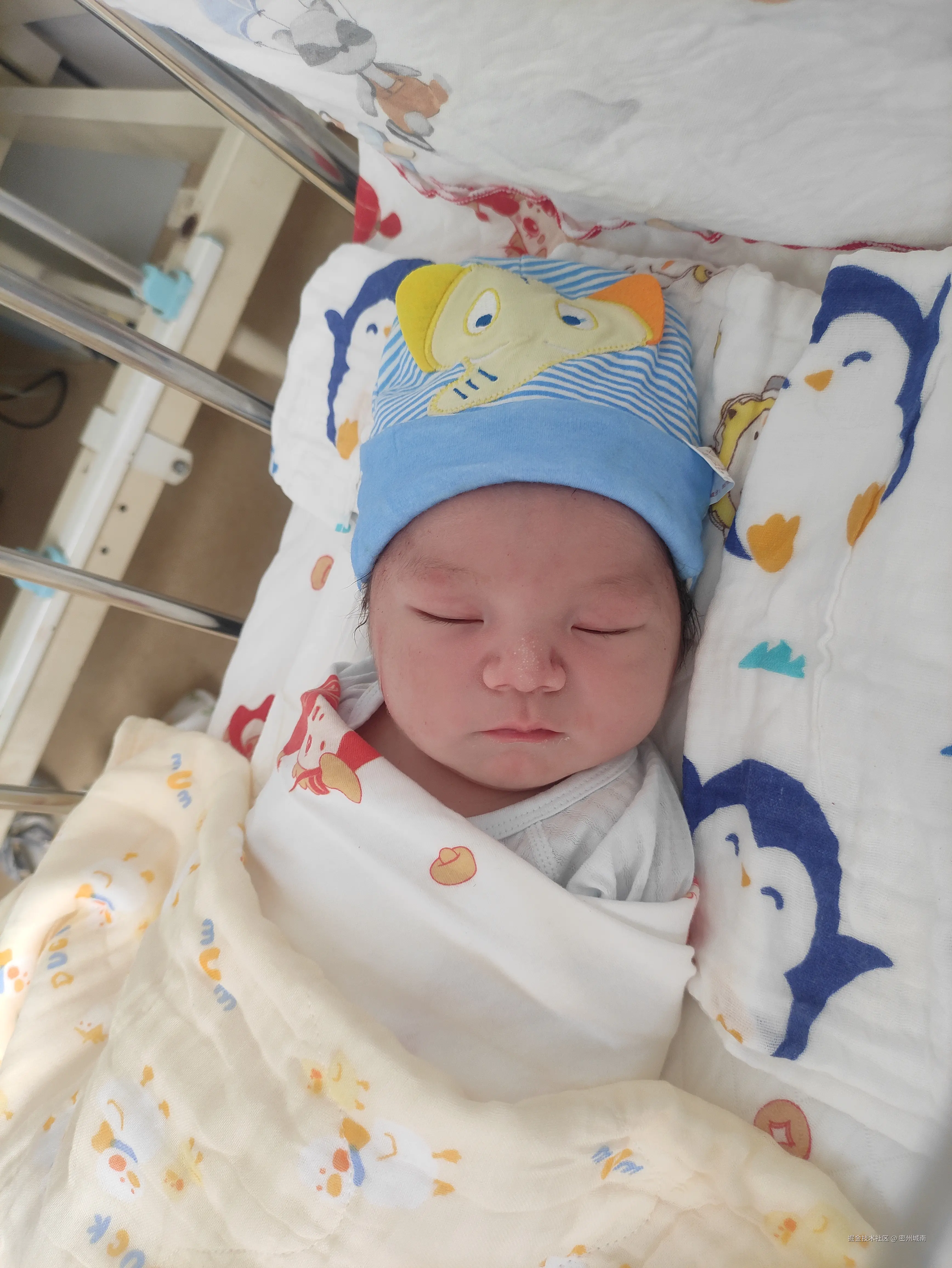 密州城南于2024-08-05 13:57发布的图片