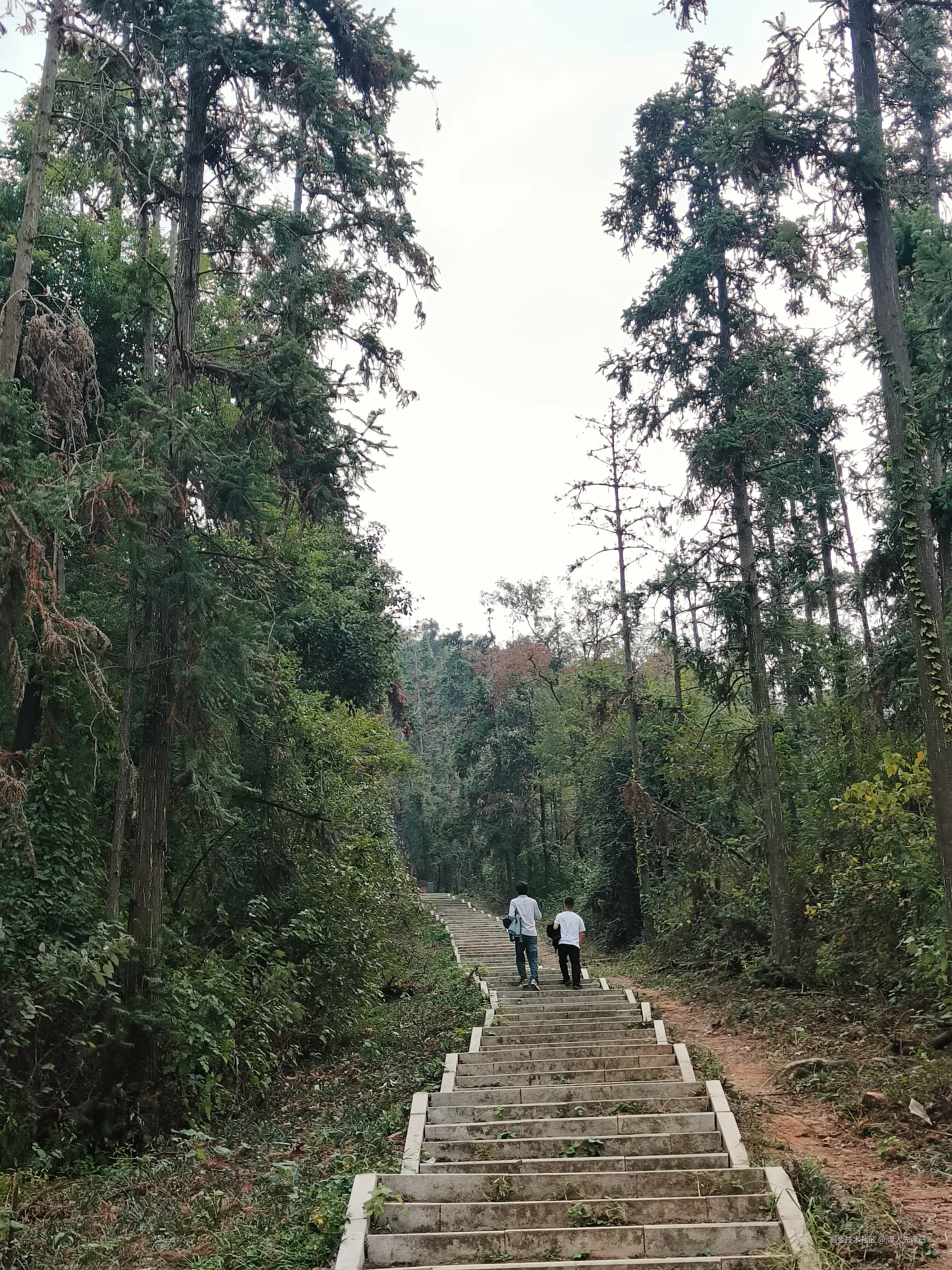 渡人先渡己于2024-11-11 11:10发布的图片