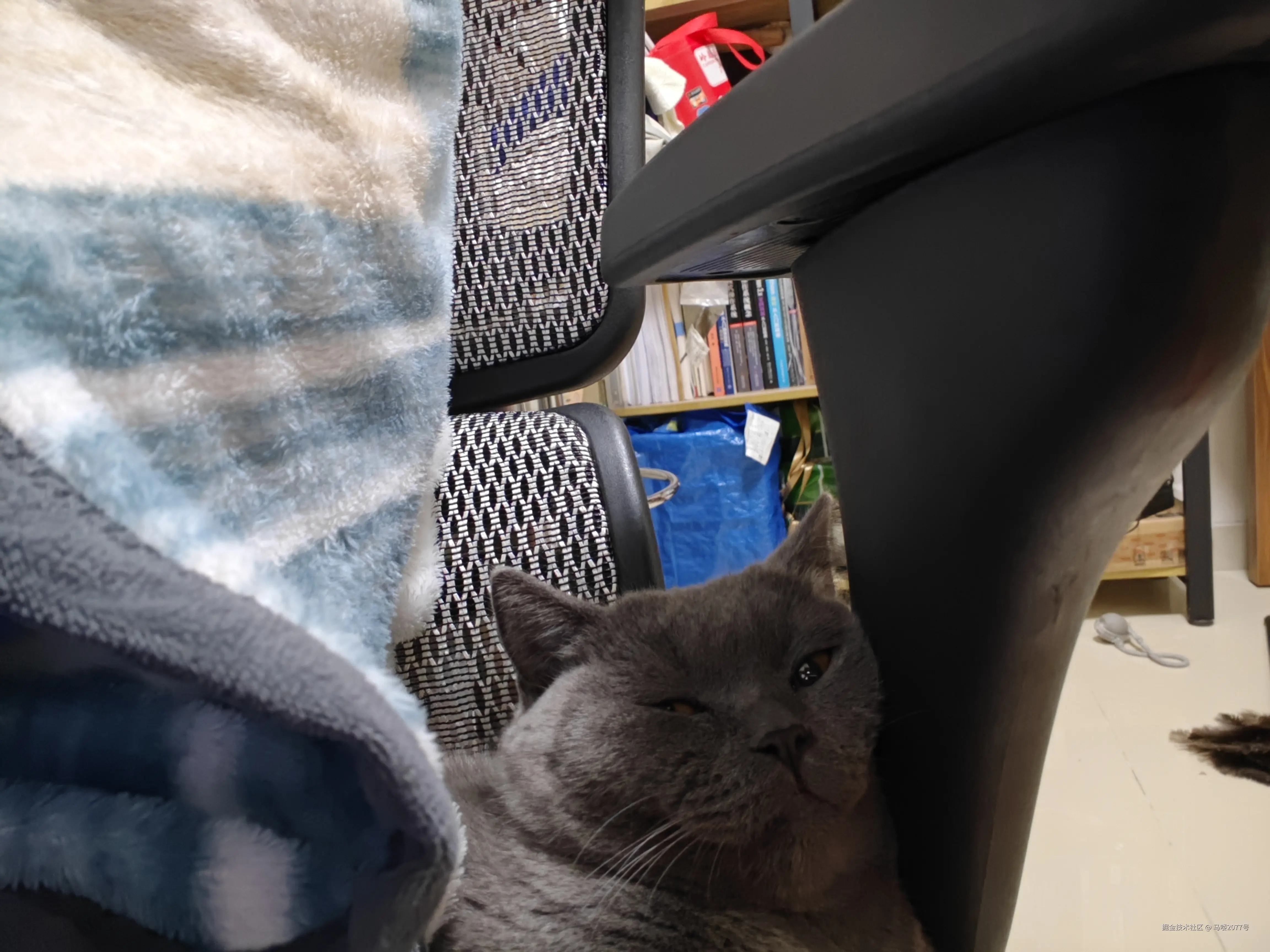 马喽2077号于2026-01-07 12:30发布的图片