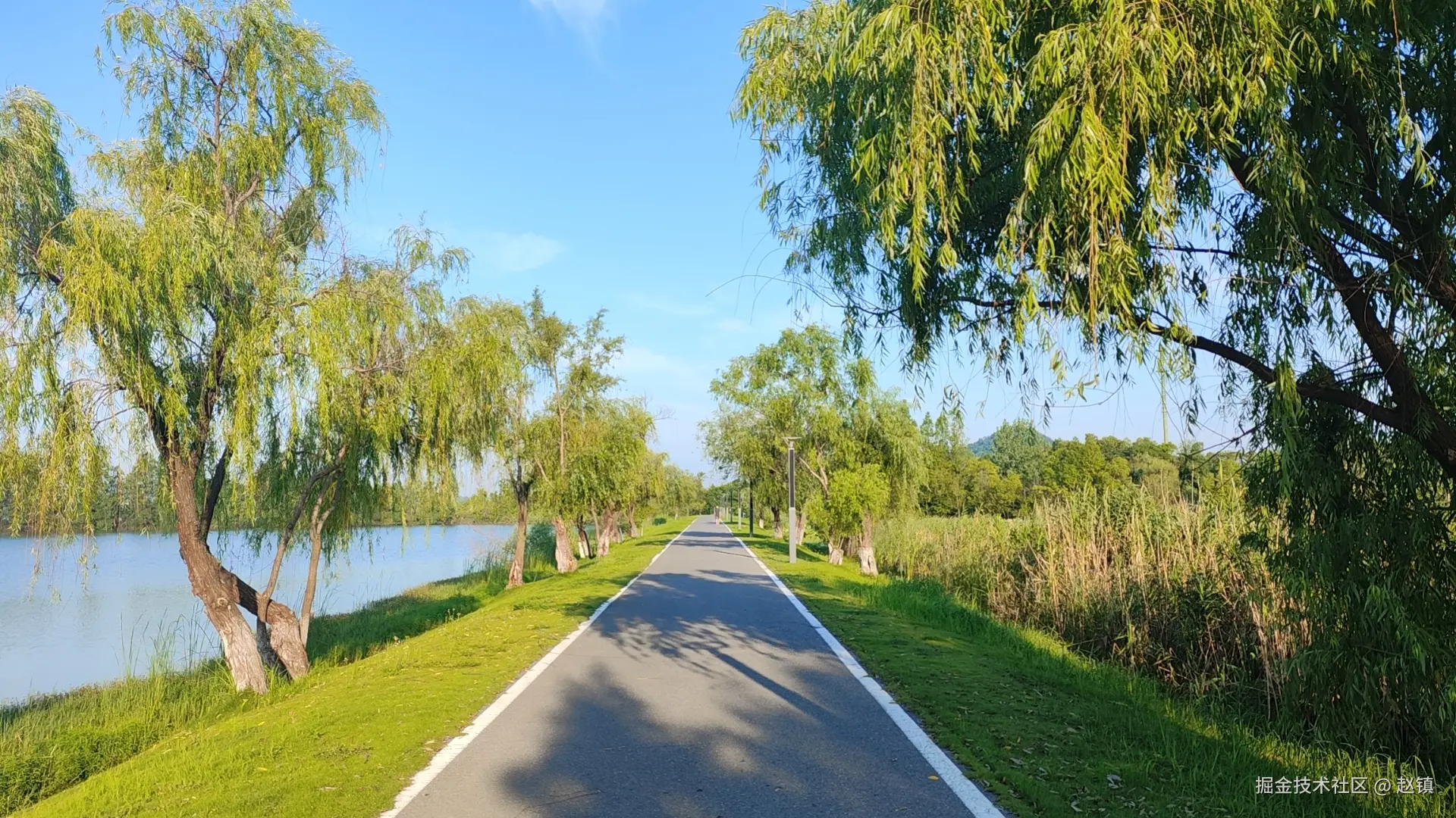 赵镇于2025-07-04 09:23发布的图片