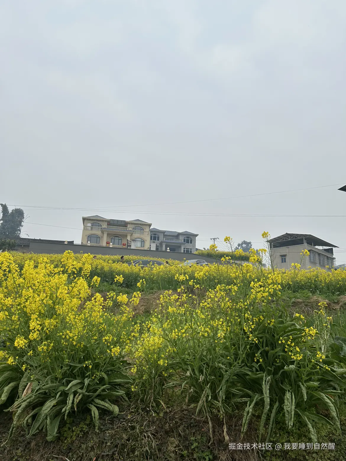 我要睡到自然醒于2026-02-17 17:43发布的图片