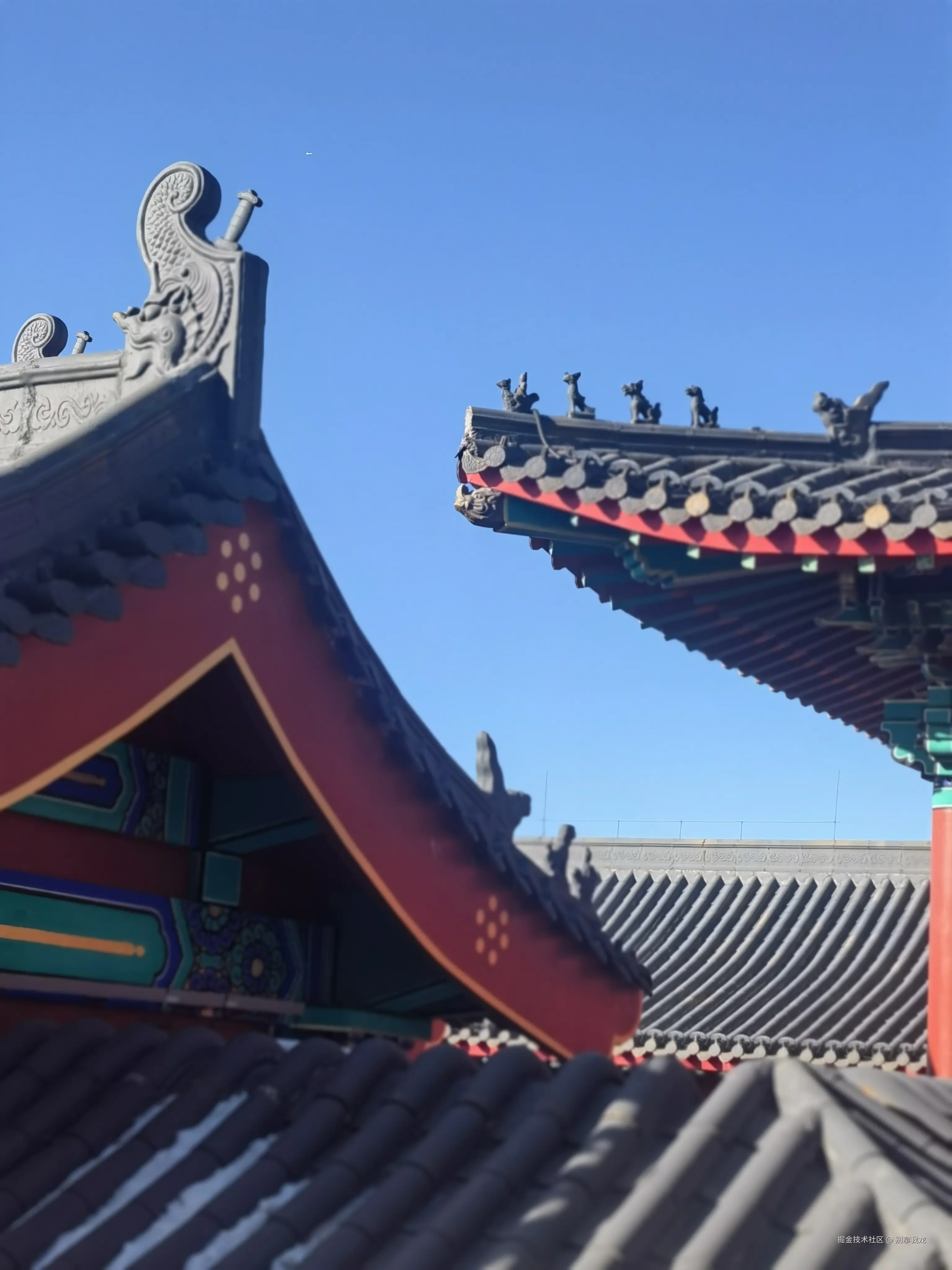 别拿我龙于2025-01-21 11:58发布的图片