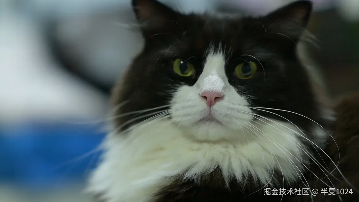 半夏1024于2024-08-19 10:37发布的图片