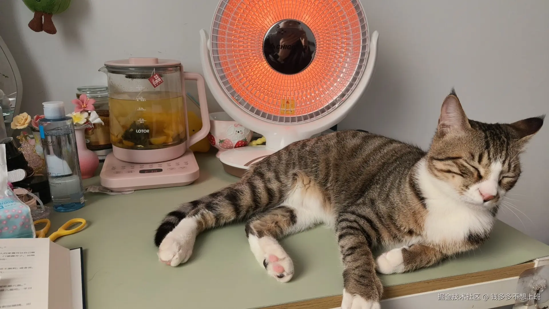 钱多多不想上班于2026-01-13 09:27发布的图片