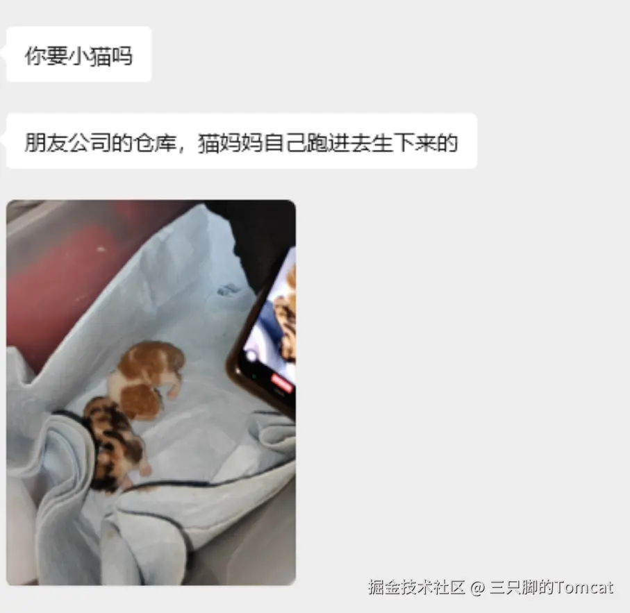 三只脚的Tomcat于2025-11-27 17:14发布的图片