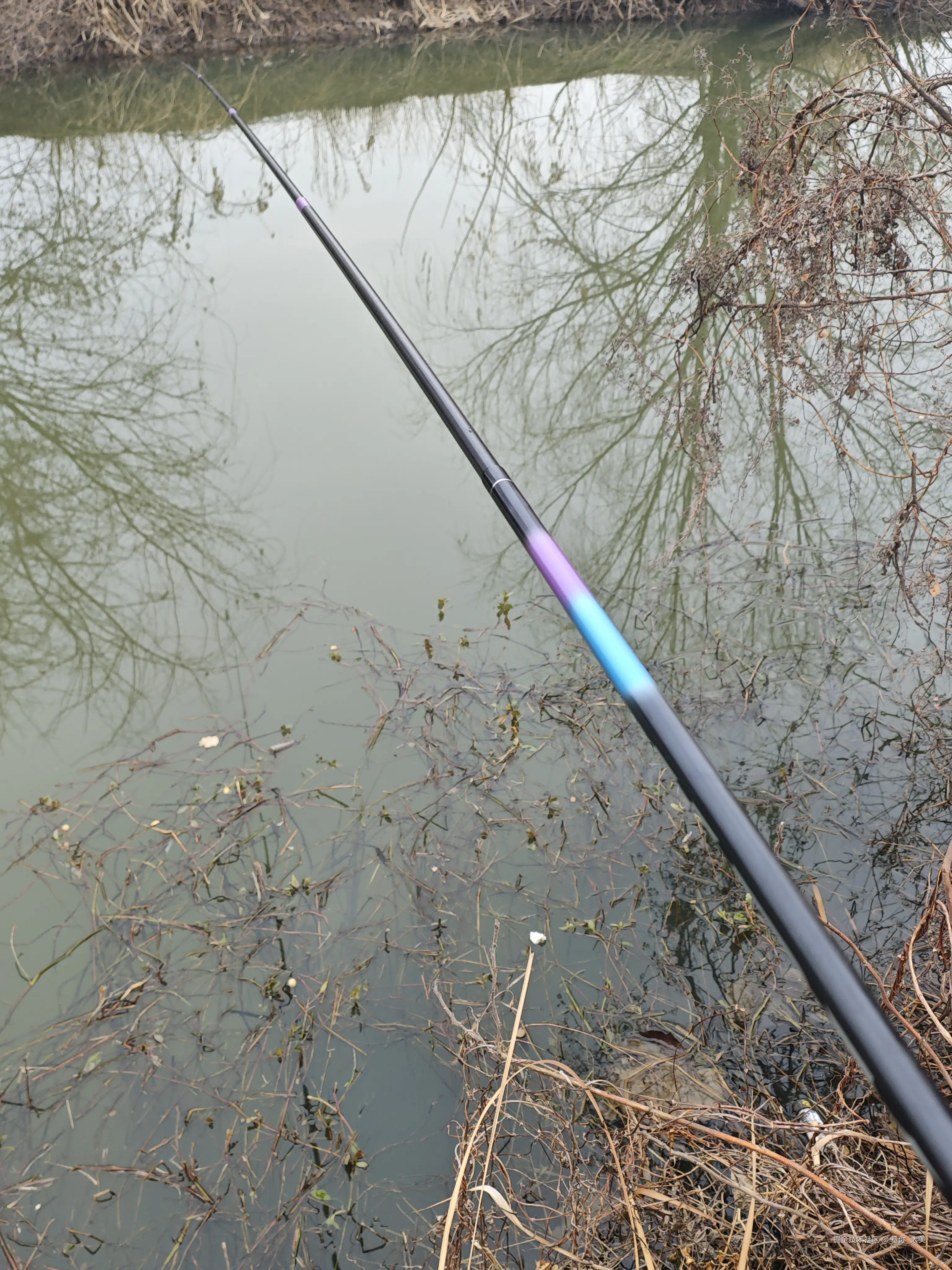 基你_太美于2026-02-03 15:37发布的图片