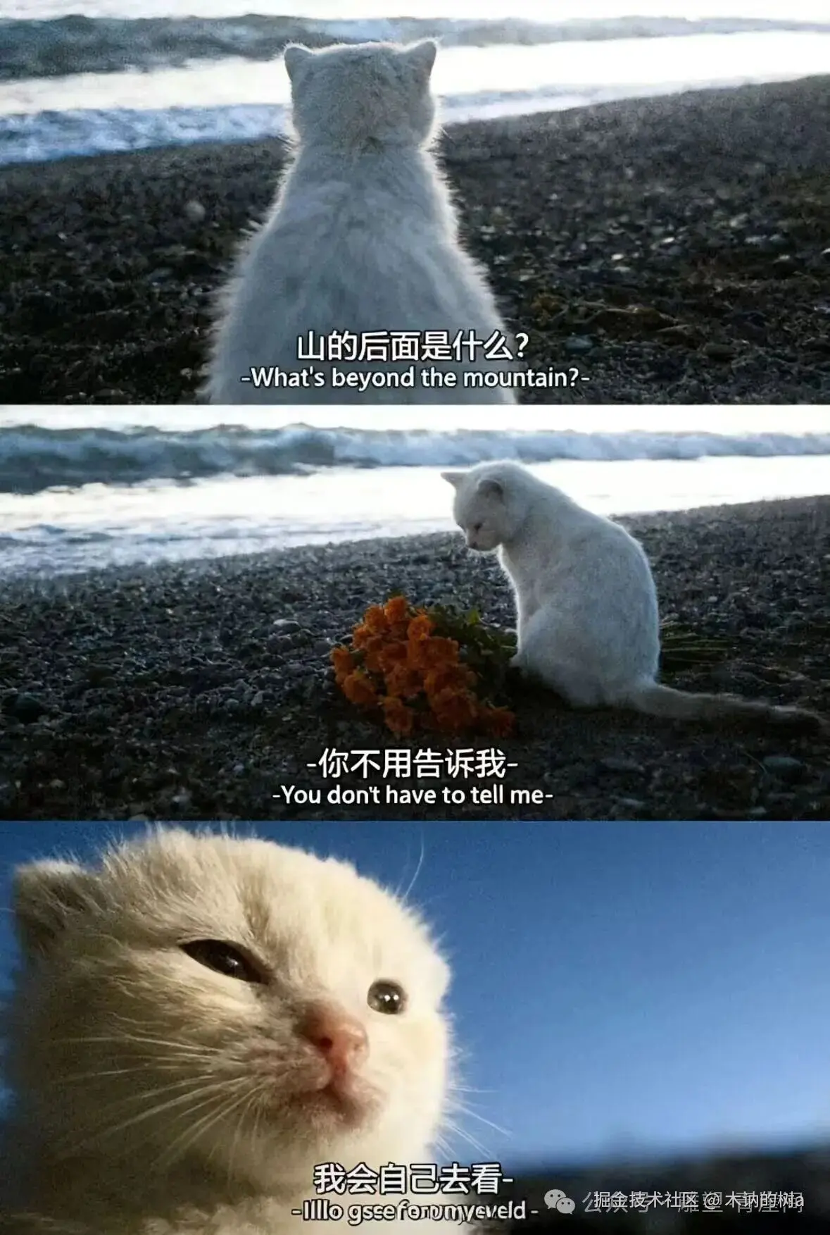 木讷的树a于2025-10-23 10:08发布的图片