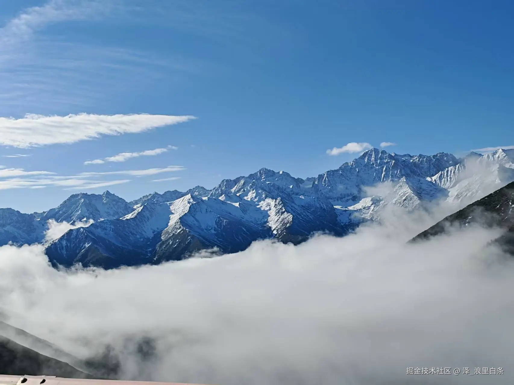 泽_浪里白条于2025-05-28 16:10发布的图片