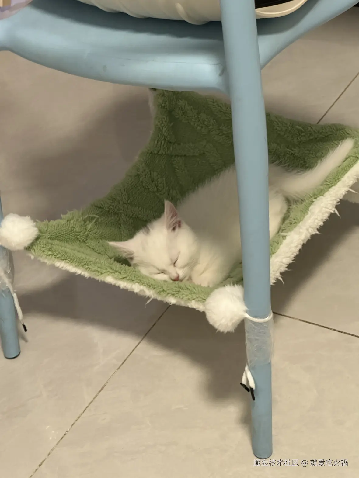 就爱吃火锅于2025-03-03 09:33发布的图片