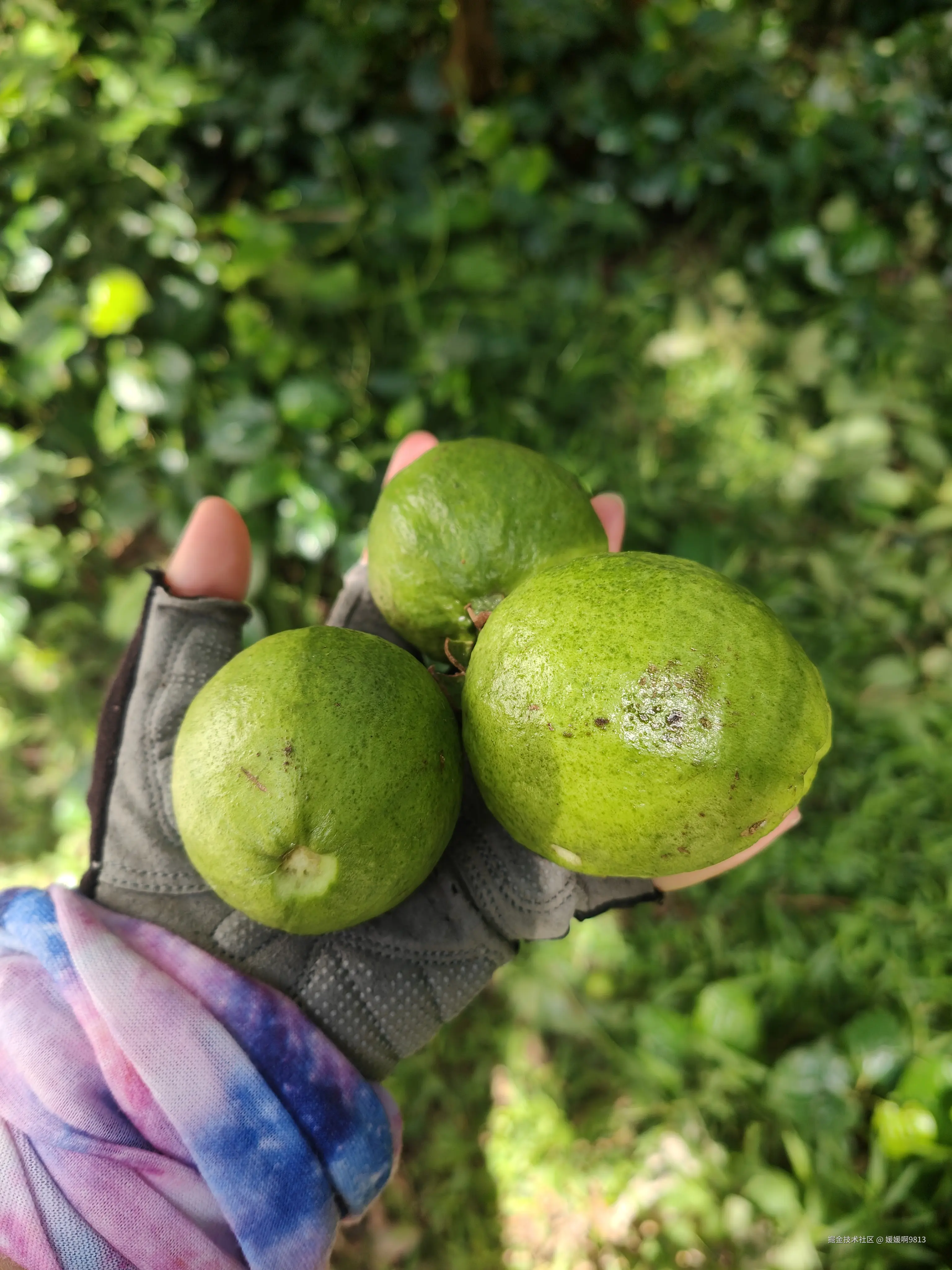 媛媛啊9813于2025-08-23 19:52发布的图片