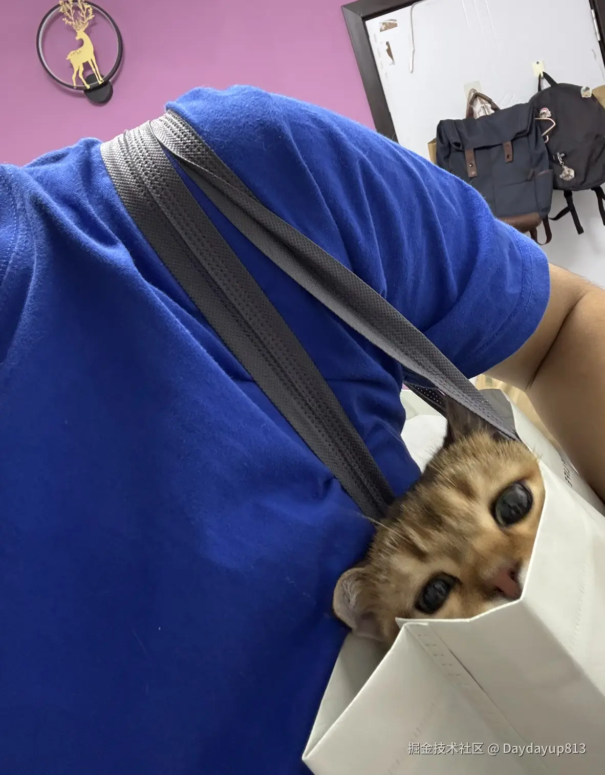 Daydayup813于2025-10-27 09:11发布的图片