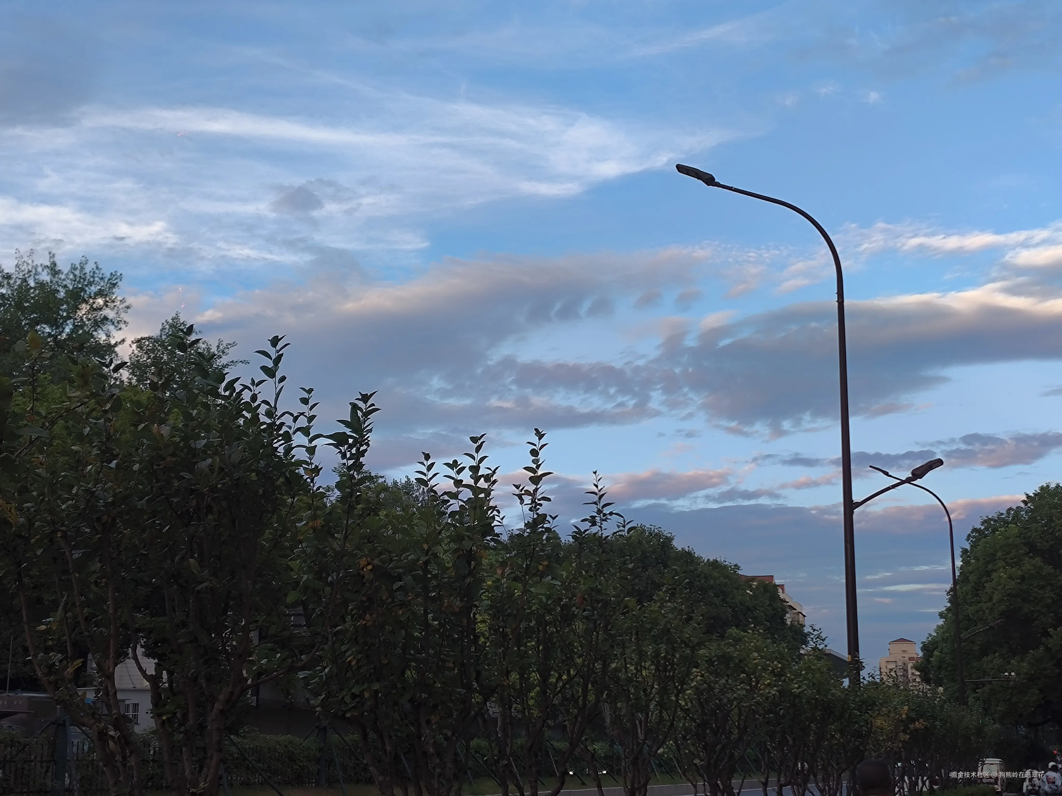 狗熊岭在逃翠花于2024-08-08 15:56发布的图片