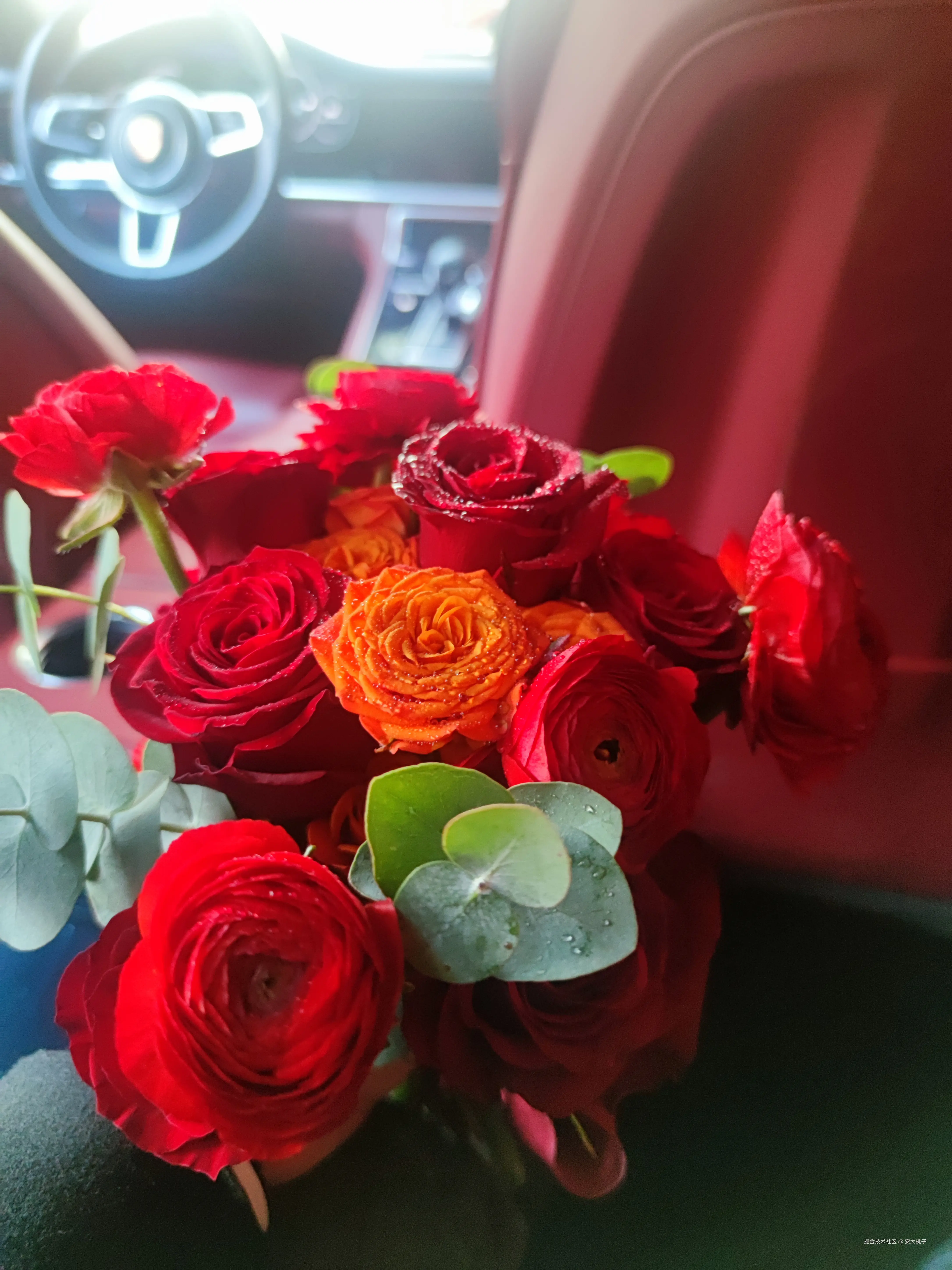 安大桃子于2025-01-04 08:35发布的图片