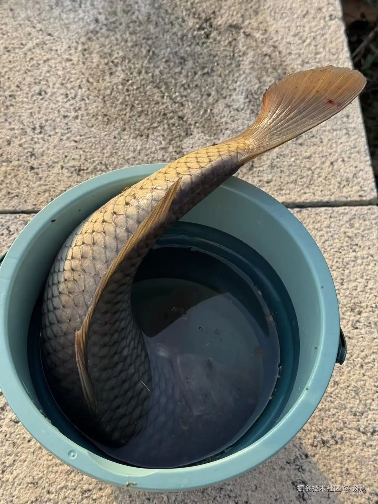 谈逍于2025-11-01 14:14发布的图片