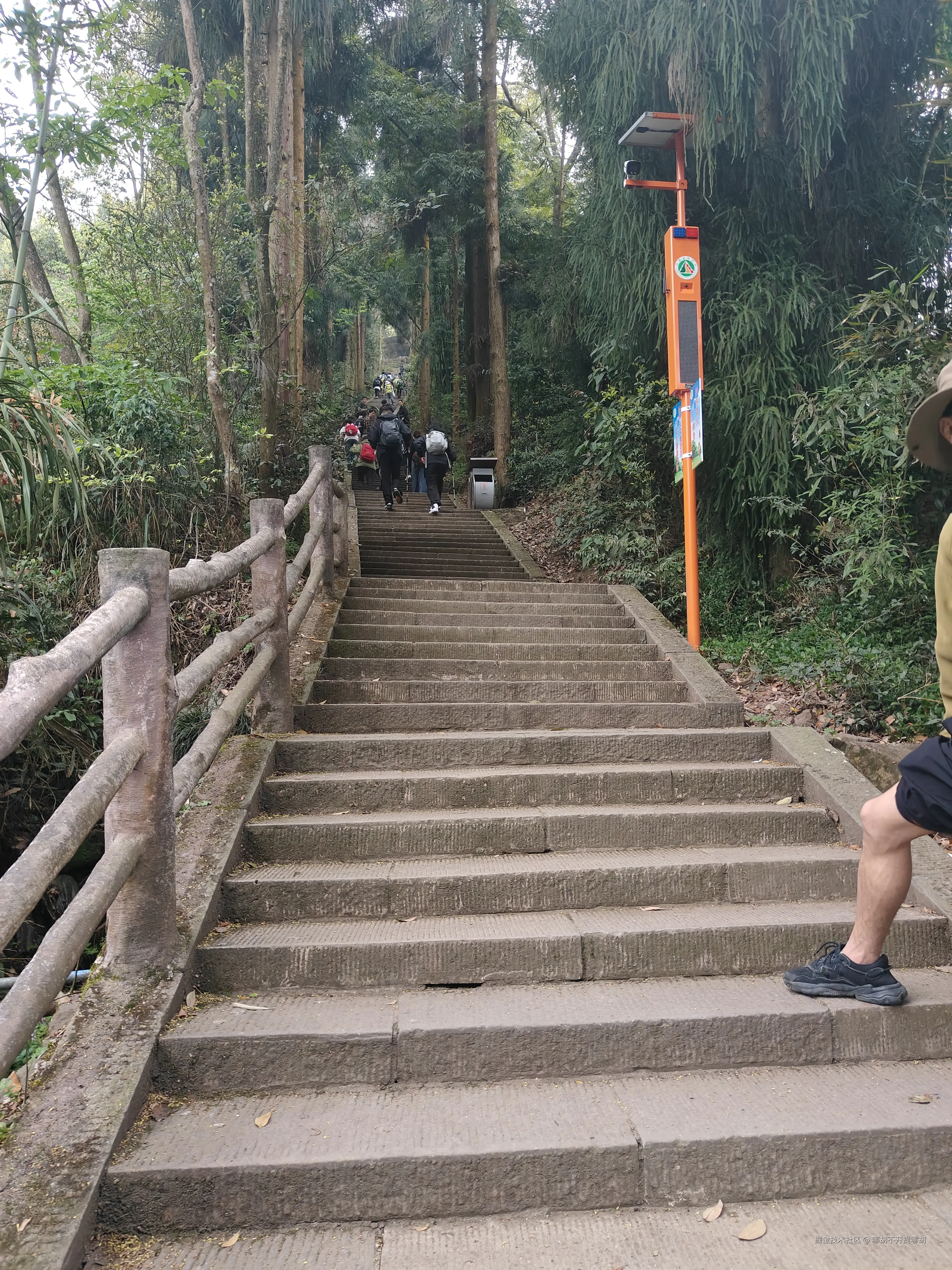 哪胡不开提哪胡于2025-04-07 08:49发布的图片