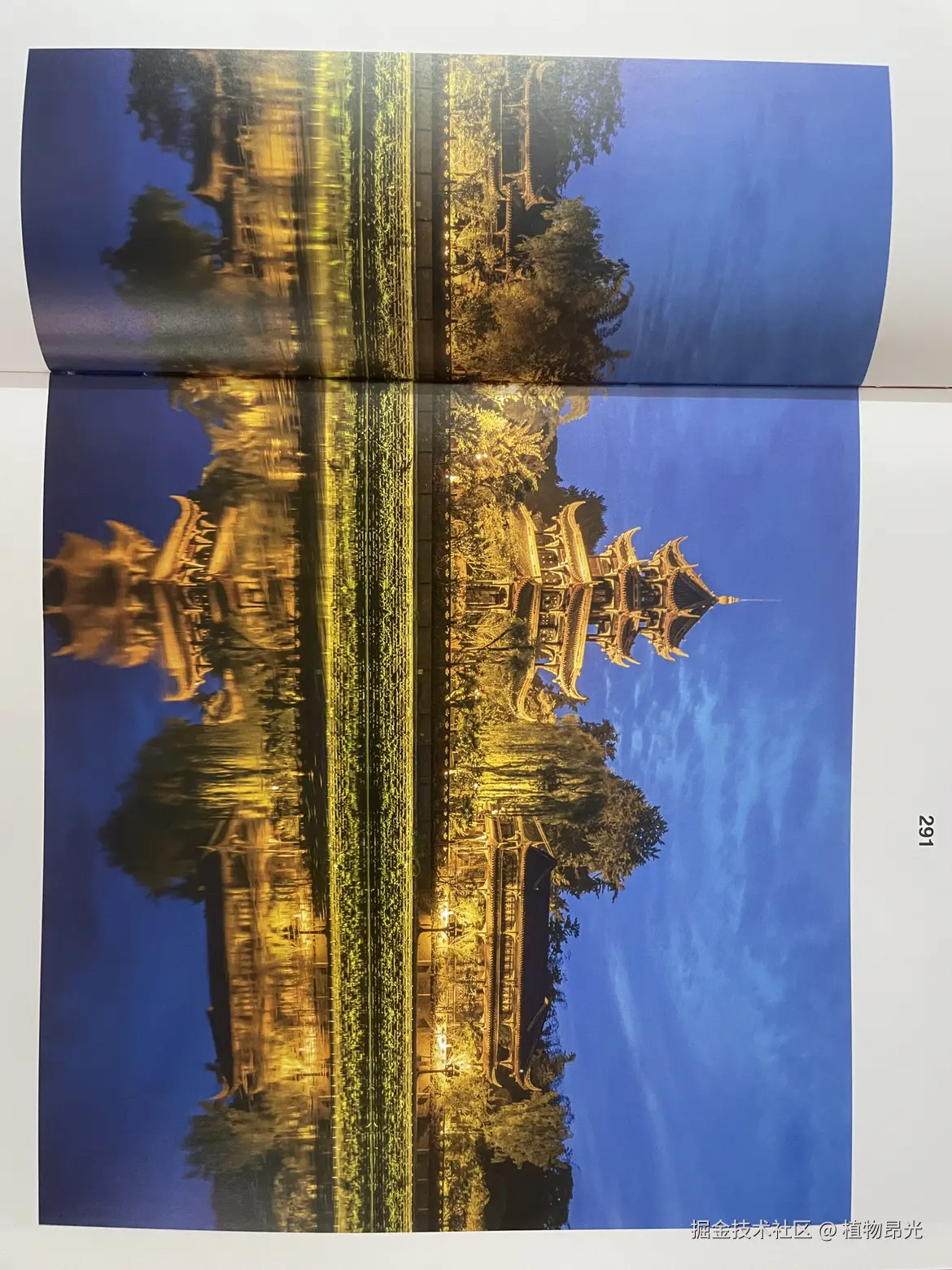 植物昂光于2026-04-04 17:22发布的图片