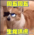 夜航猩于2025-08-08 05:58发布的图片