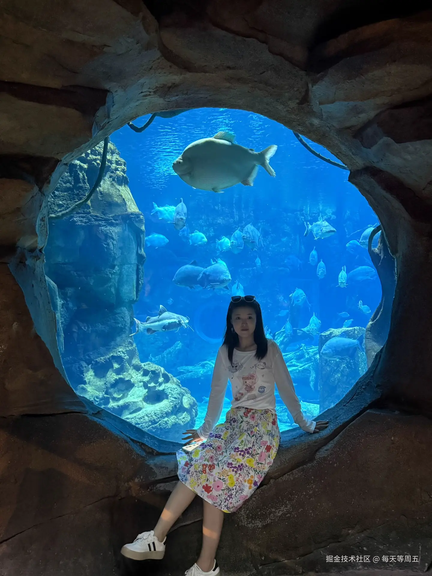 每天等周五于2025-08-25 17:16发布的图片