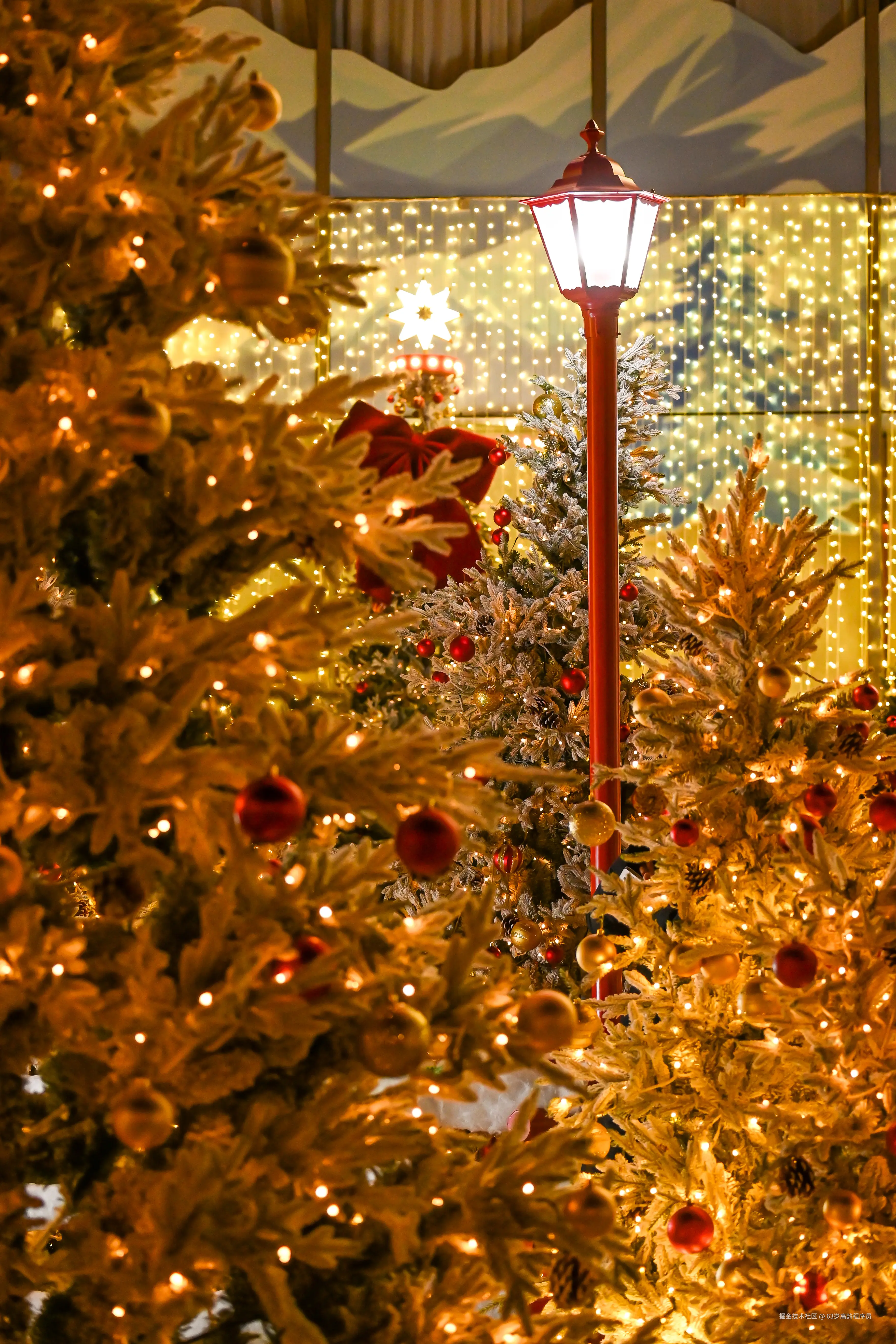 63岁高龄程序员于2025-12-19 01:26发布的图片