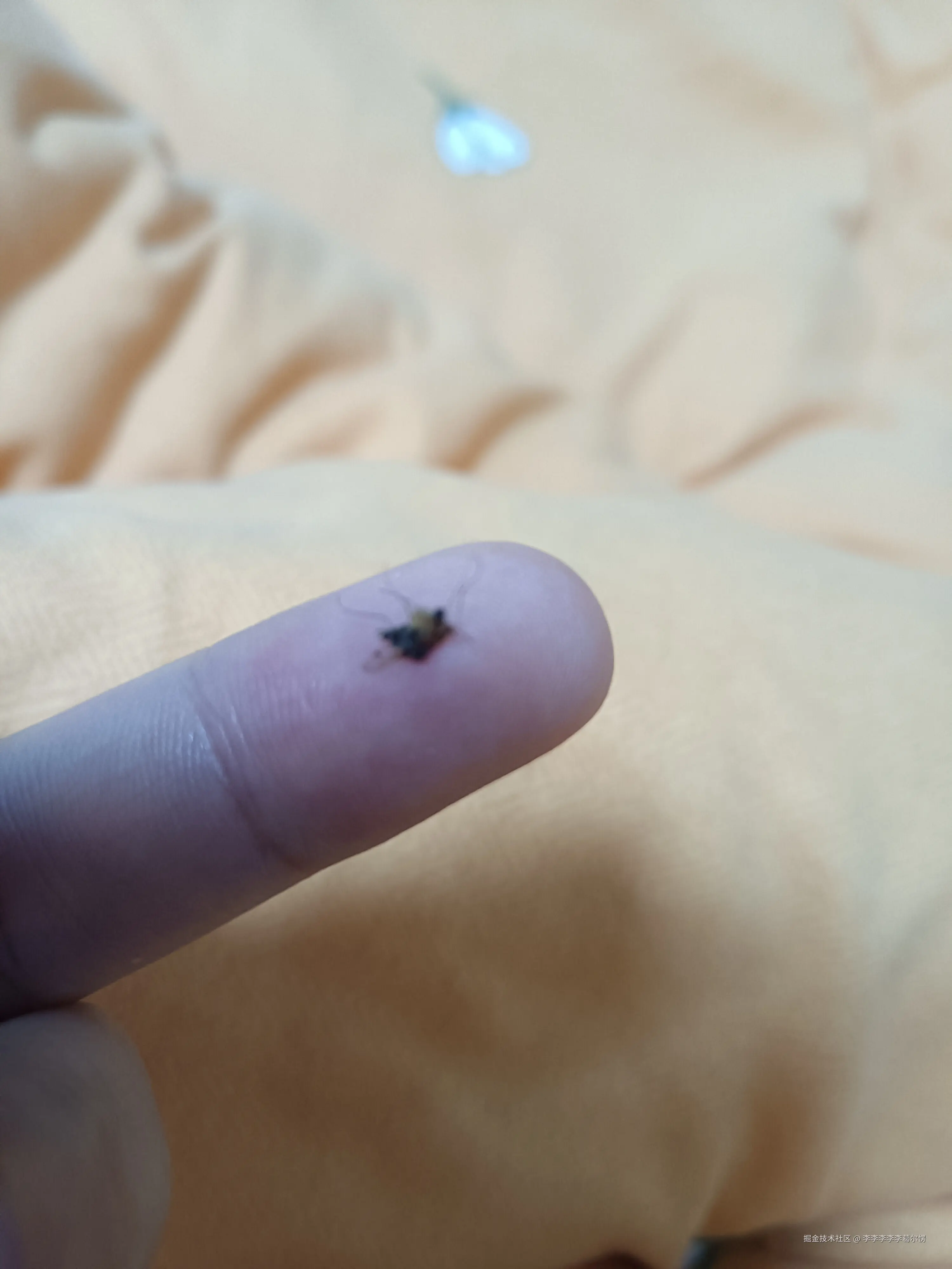 李李李李李葛尔愣于2024-11-13 07:54发布的图片