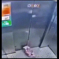 lcy453于2026-04-15 16:37发布的图片