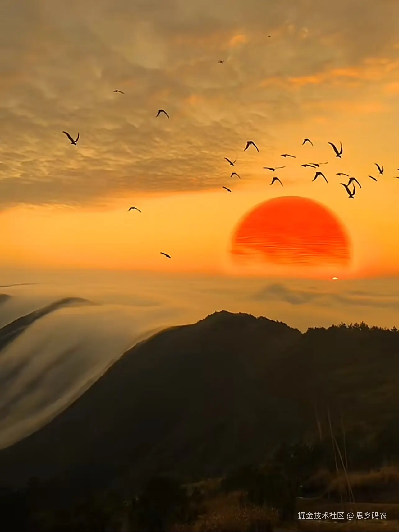 思乡码农于2024-12-26 21:56发布的图片