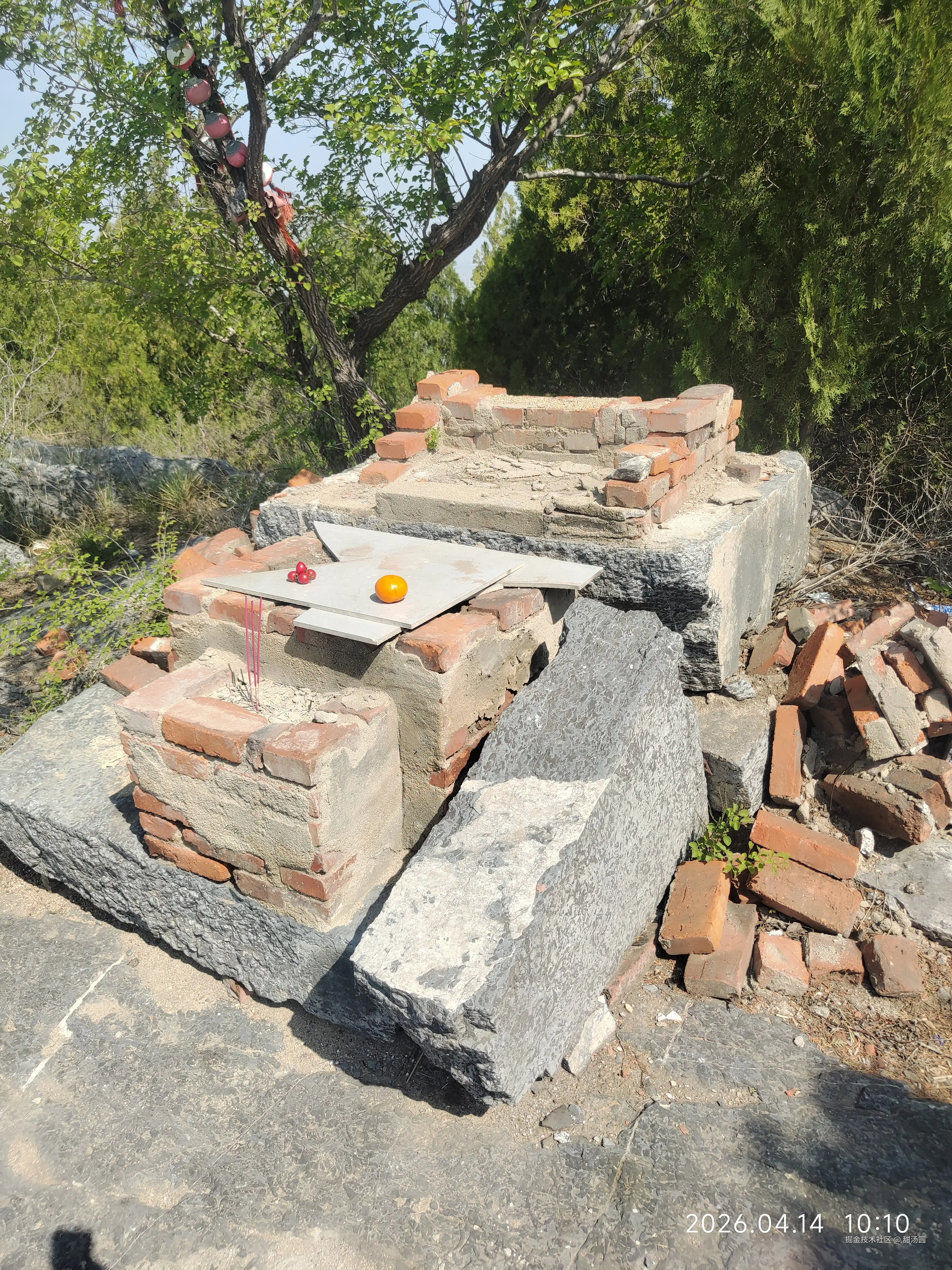 甜汤圆于2026-04-14 10:44发布的图片