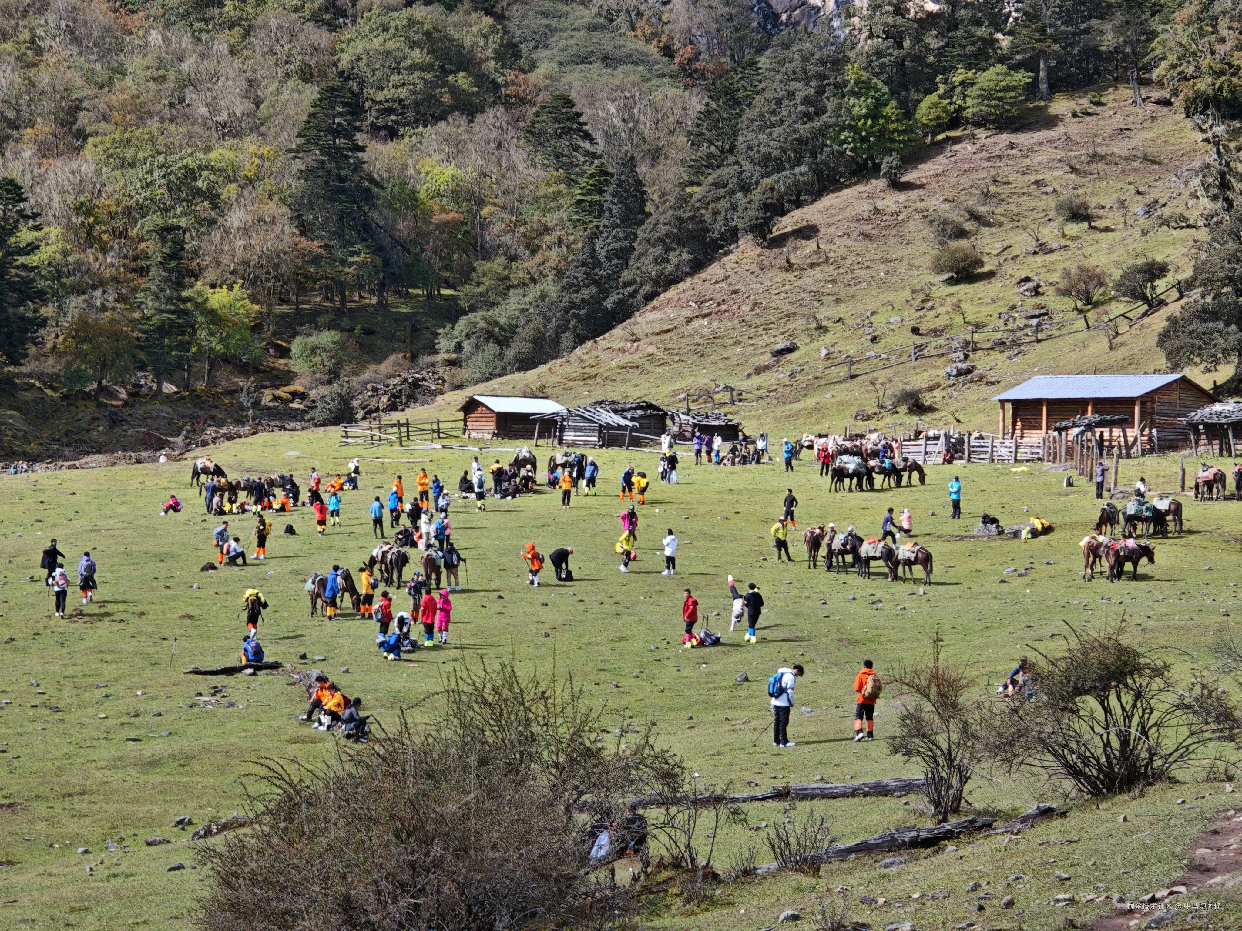 牛马切图仔于2025-10-09 05:51发布的图片