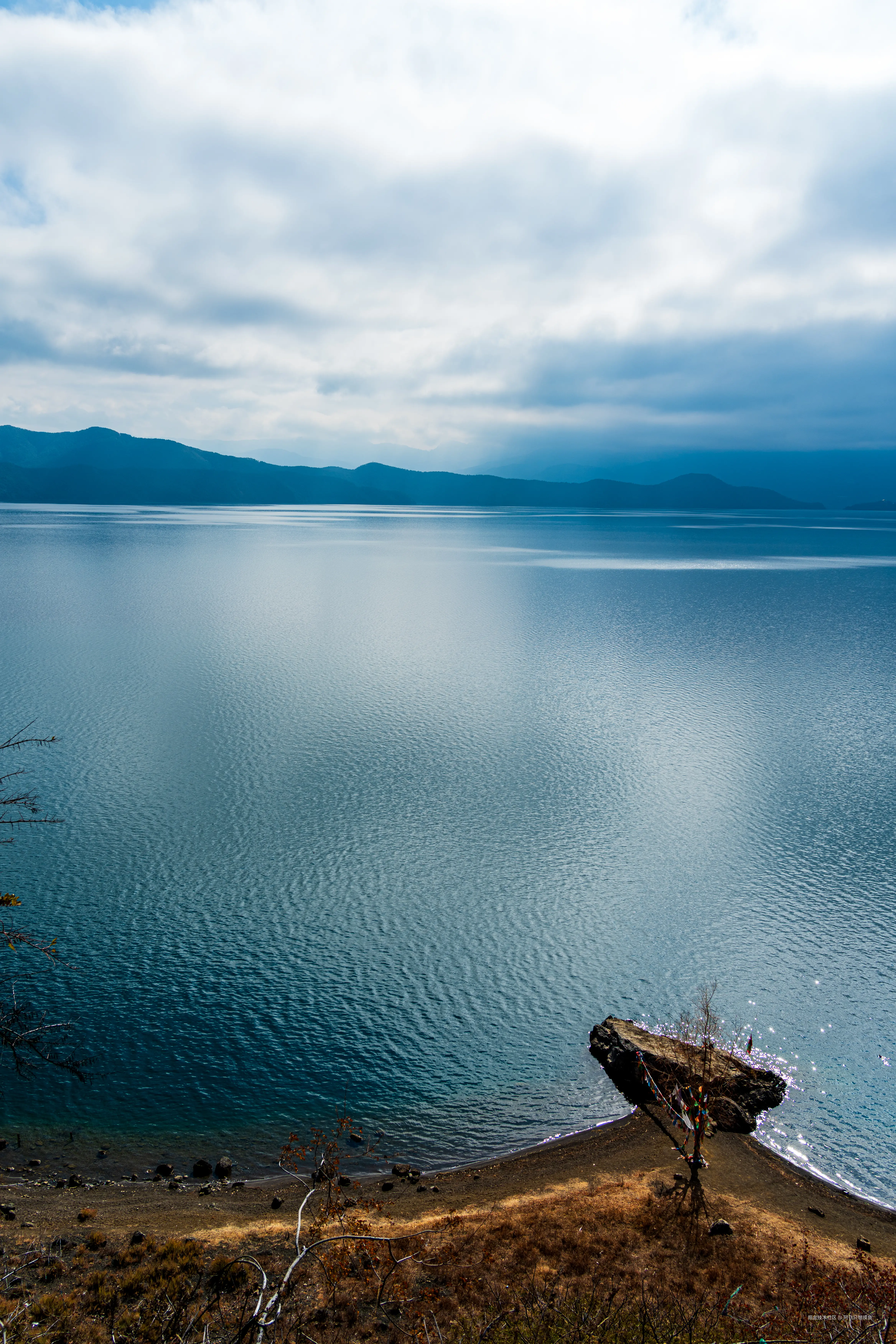 阿飞只想摸鱼于2026-02-11 14:46发布的图片