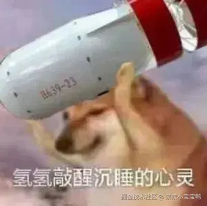 亲亲小宝宝鸭于2025-07-14 11:45发布的图片