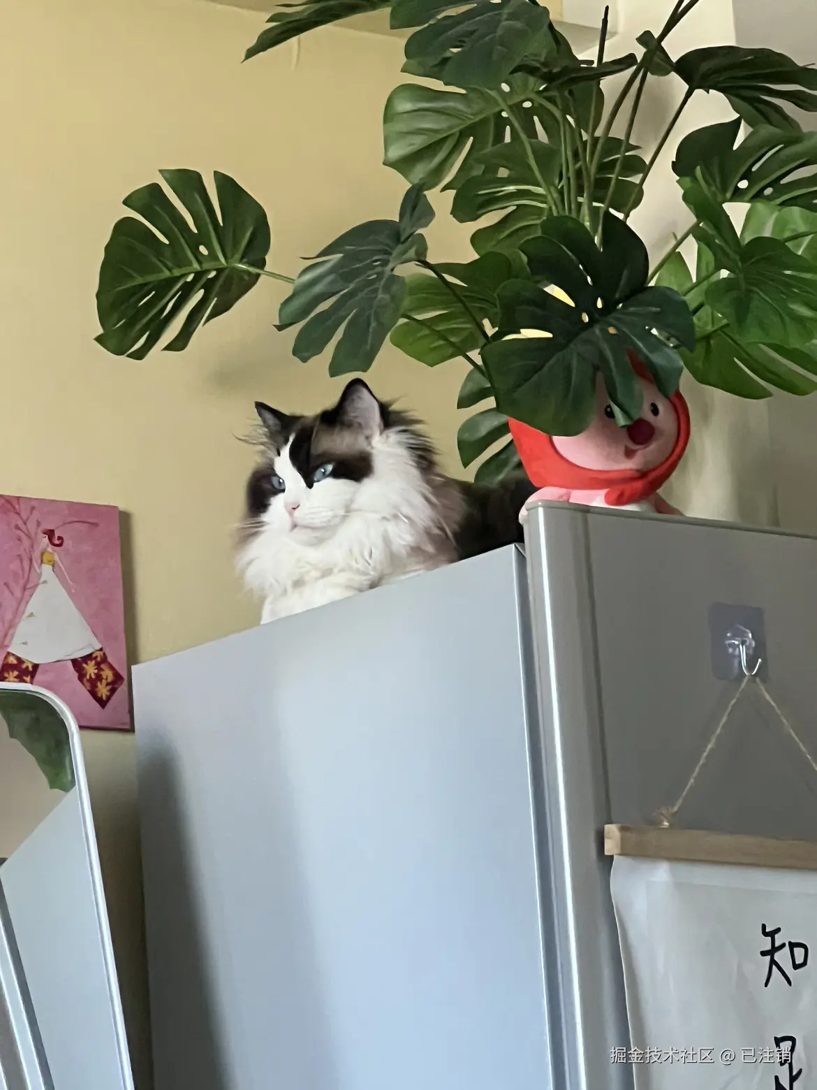 已注销于2024-07-21 10:49发布的图片