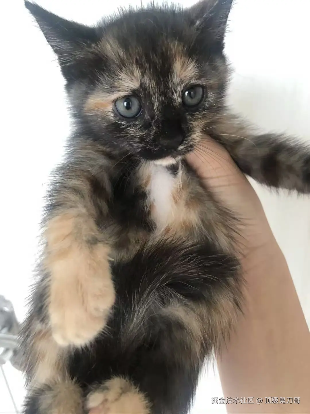 顶级鬼刀哥于2025-09-11 10:22发布的图片