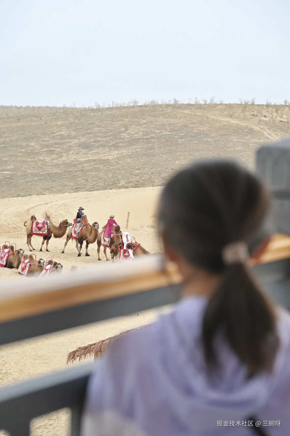 三碗呀于2025-10-15 08:19发布的图片