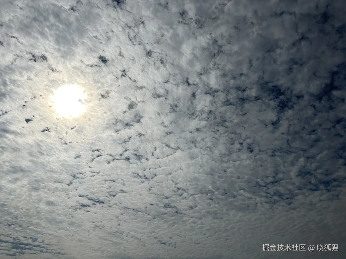 晓狐狸于2024-11-23 03:08发布的图片