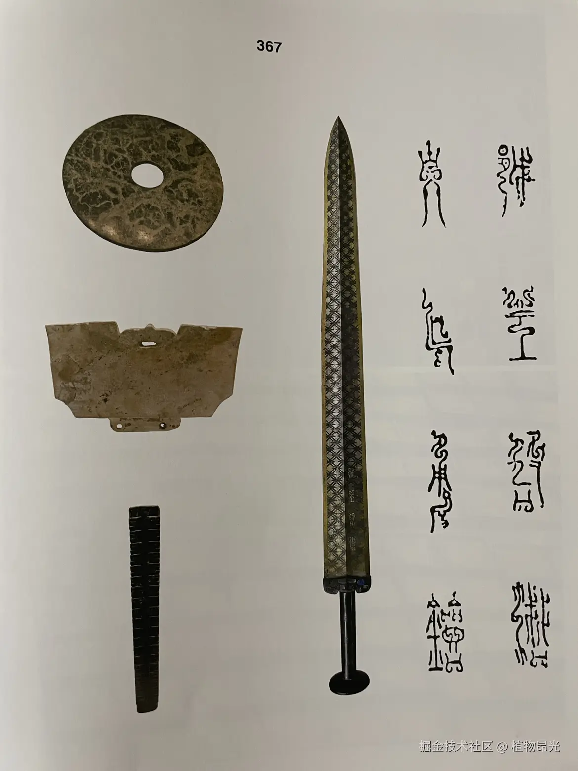 植物昂光于2026-04-15 21:56发布的图片