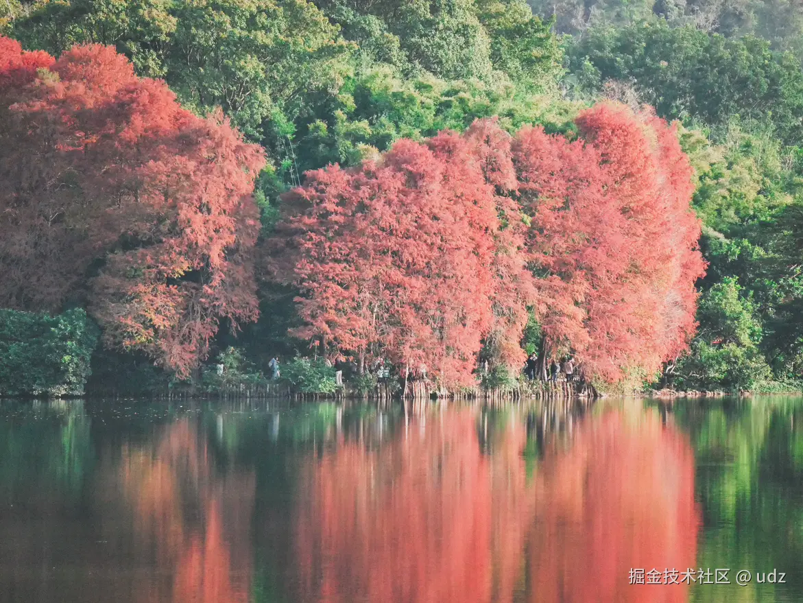 udz于2025-01-18 09:26发布的图片