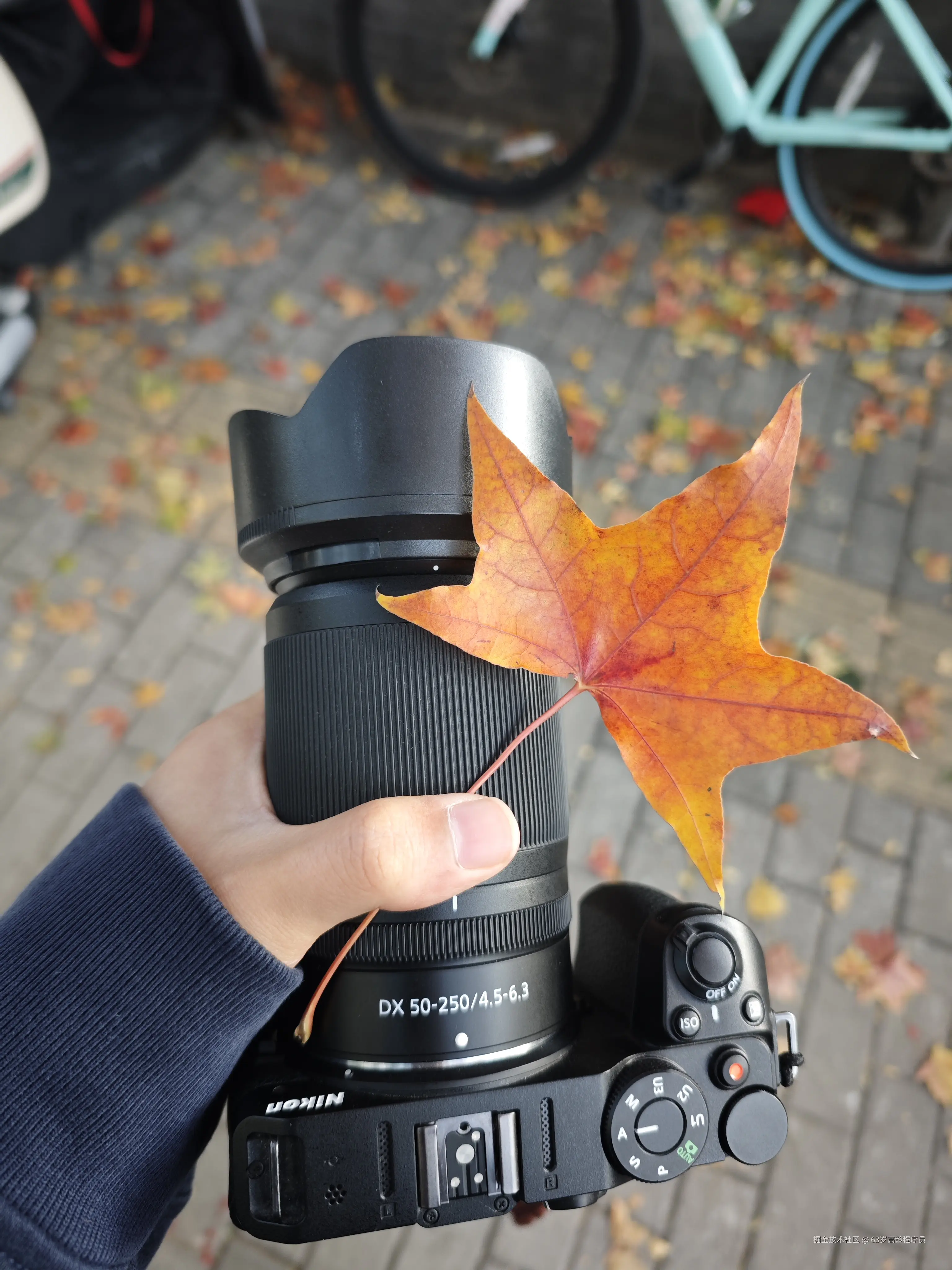 63岁高龄程序员于2025-11-05 15:17发布的图片