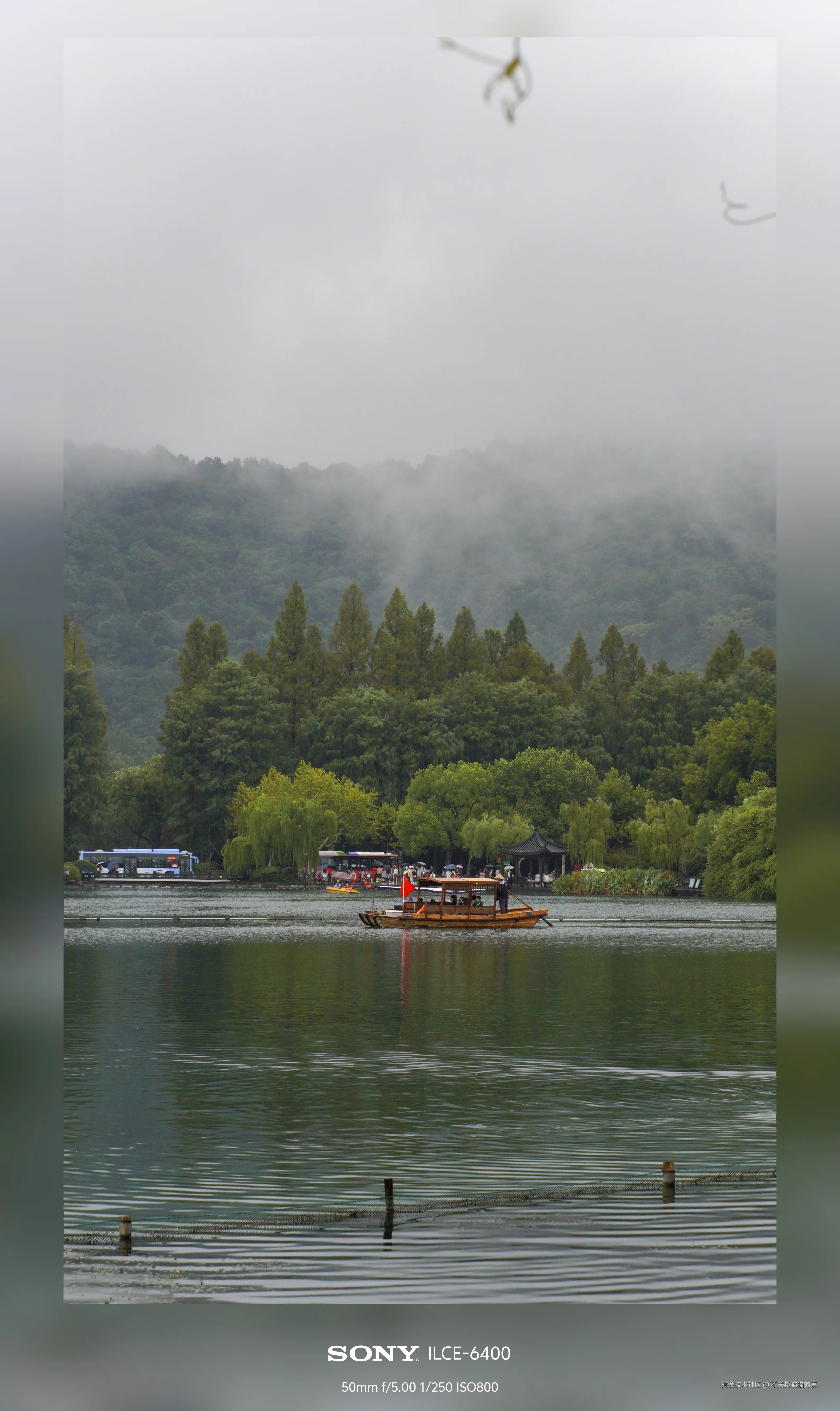 不关橙猫猫的事于2024-10-08 14:03发布的图片