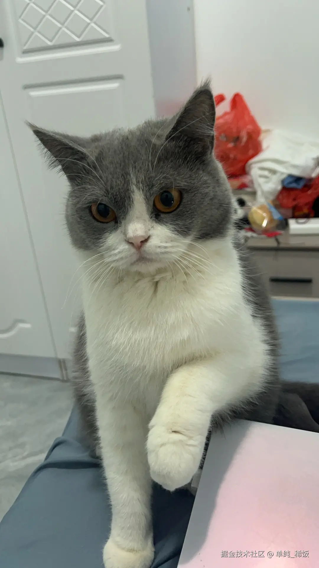 单纯_稀饭于2024-11-29 17:47发布的图片