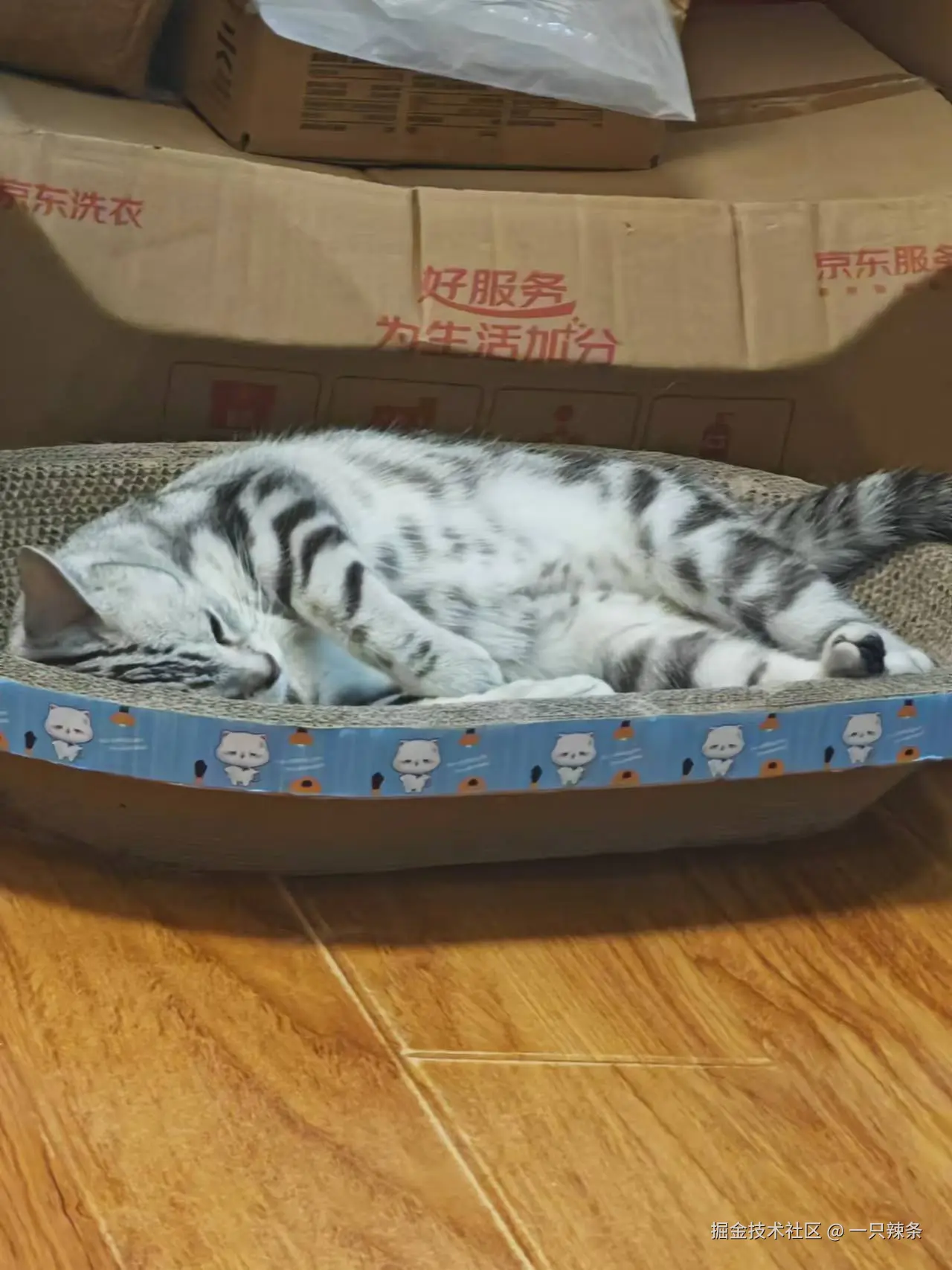 一只辣条于2024-09-11 16:55发布的图片