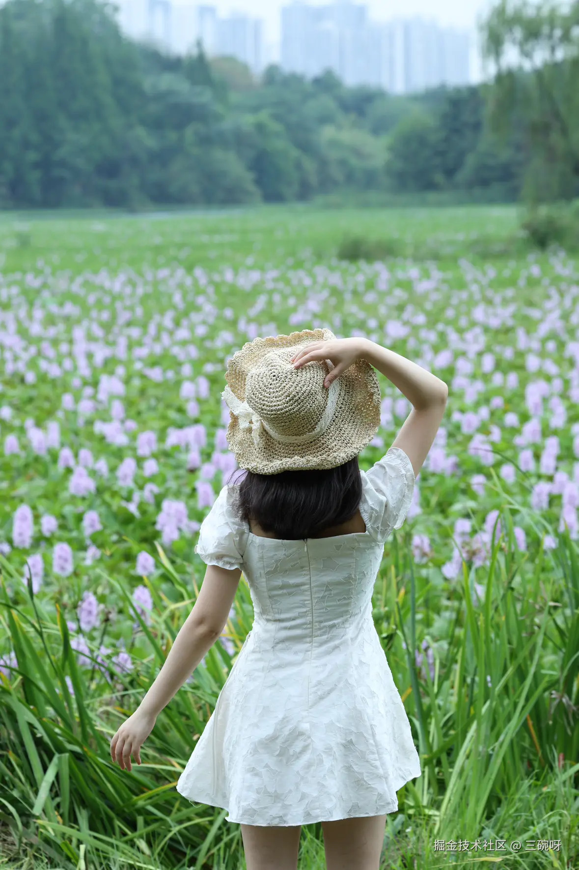 三碗呀于2025-06-23 02:33发布的图片