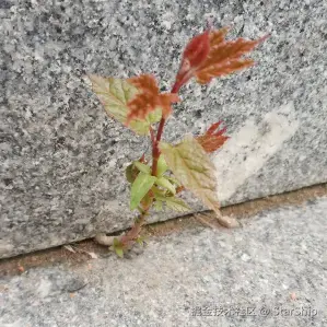 Android Framework 101