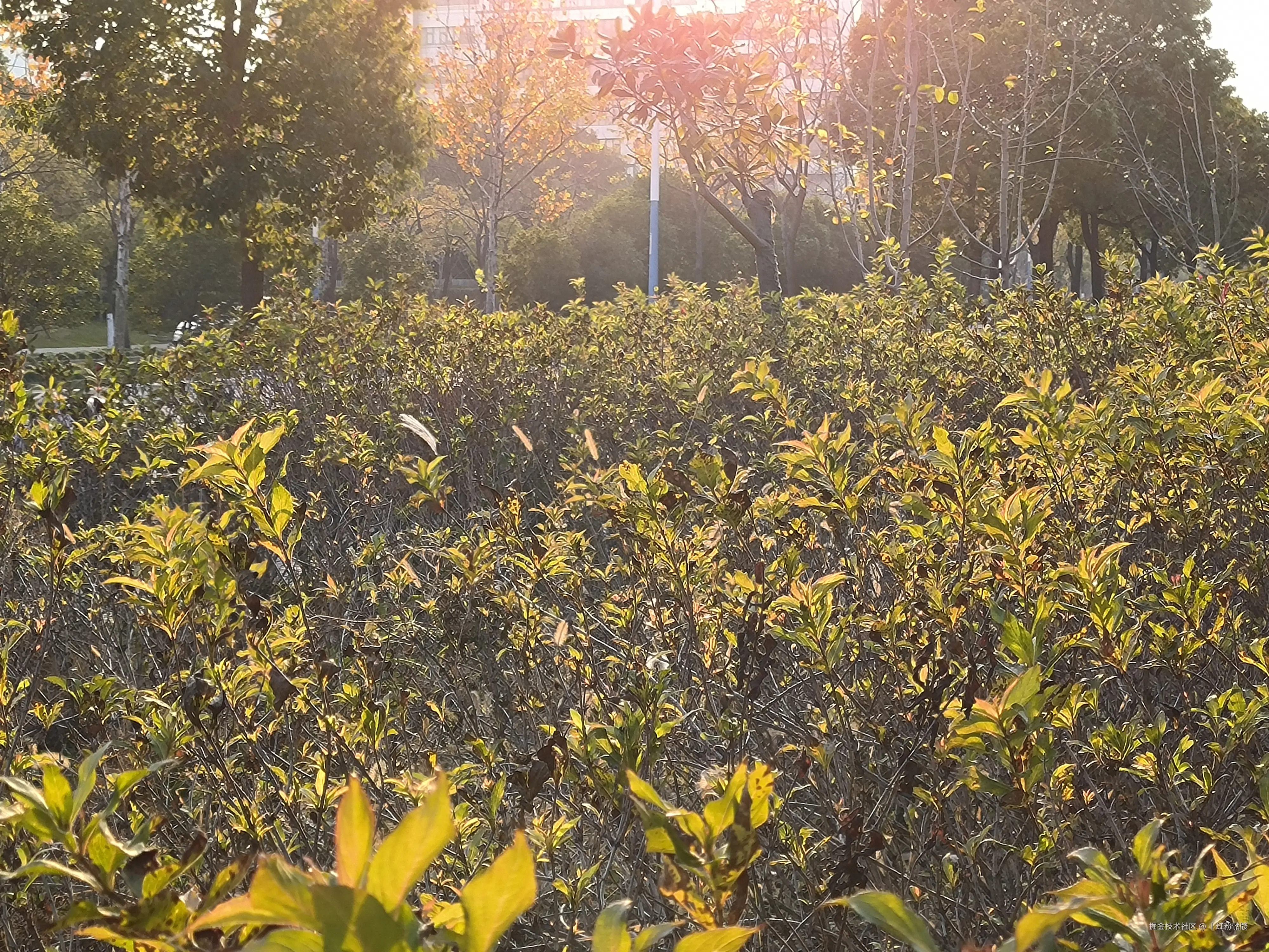 丨红粉骷髅于2025-01-14 14:00发布的图片